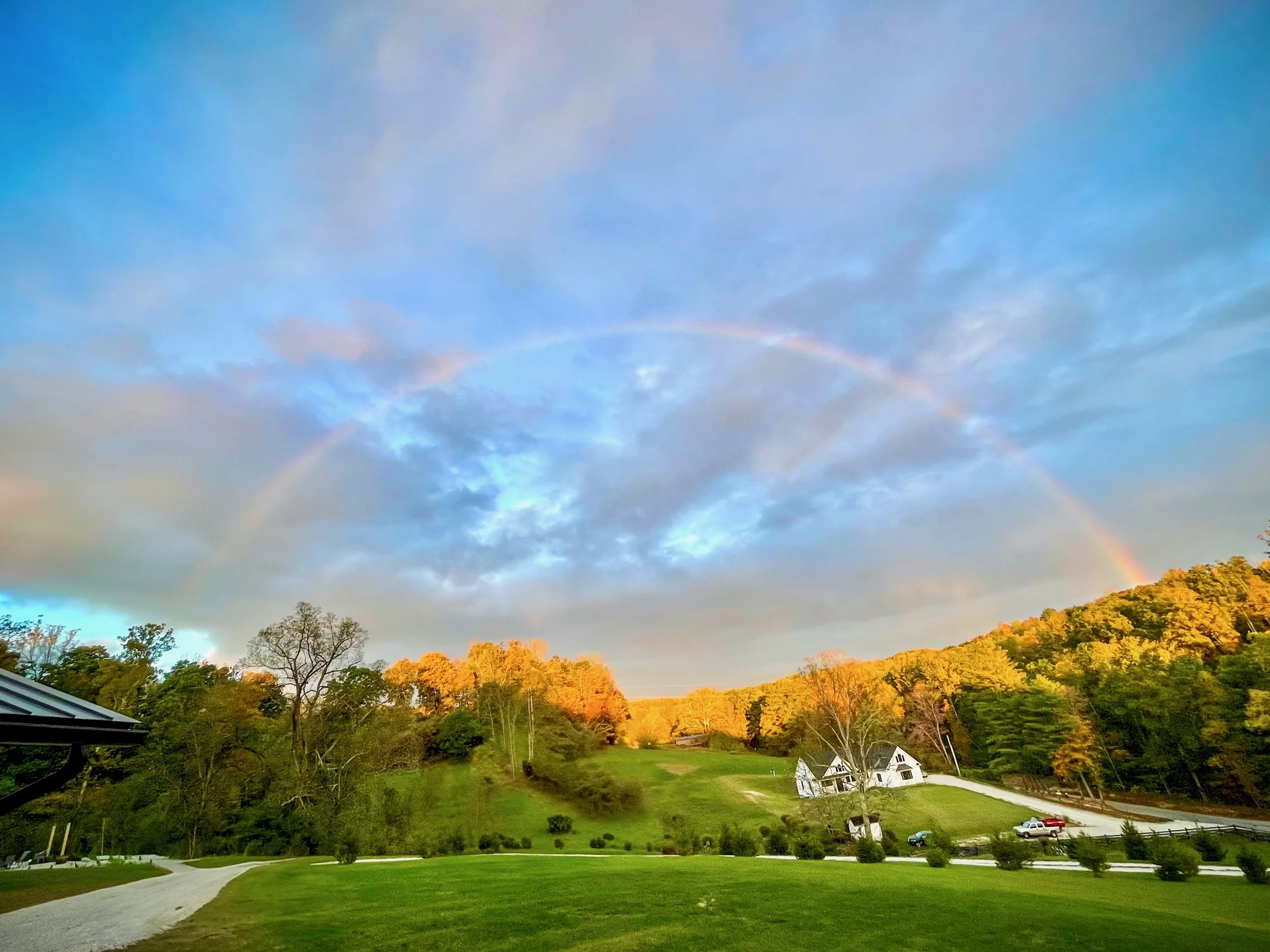 Feeling Seen in Our Struggles