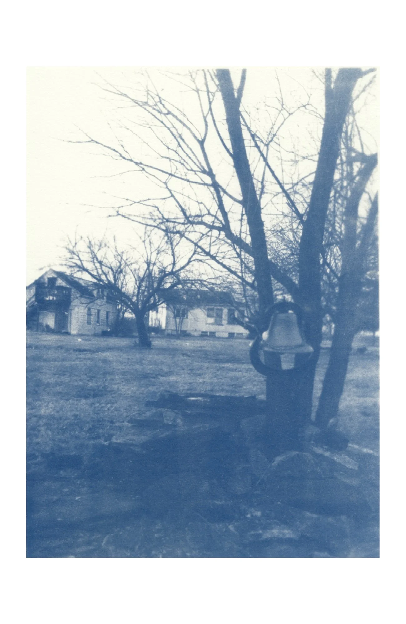 cyanotype on paper, 2026