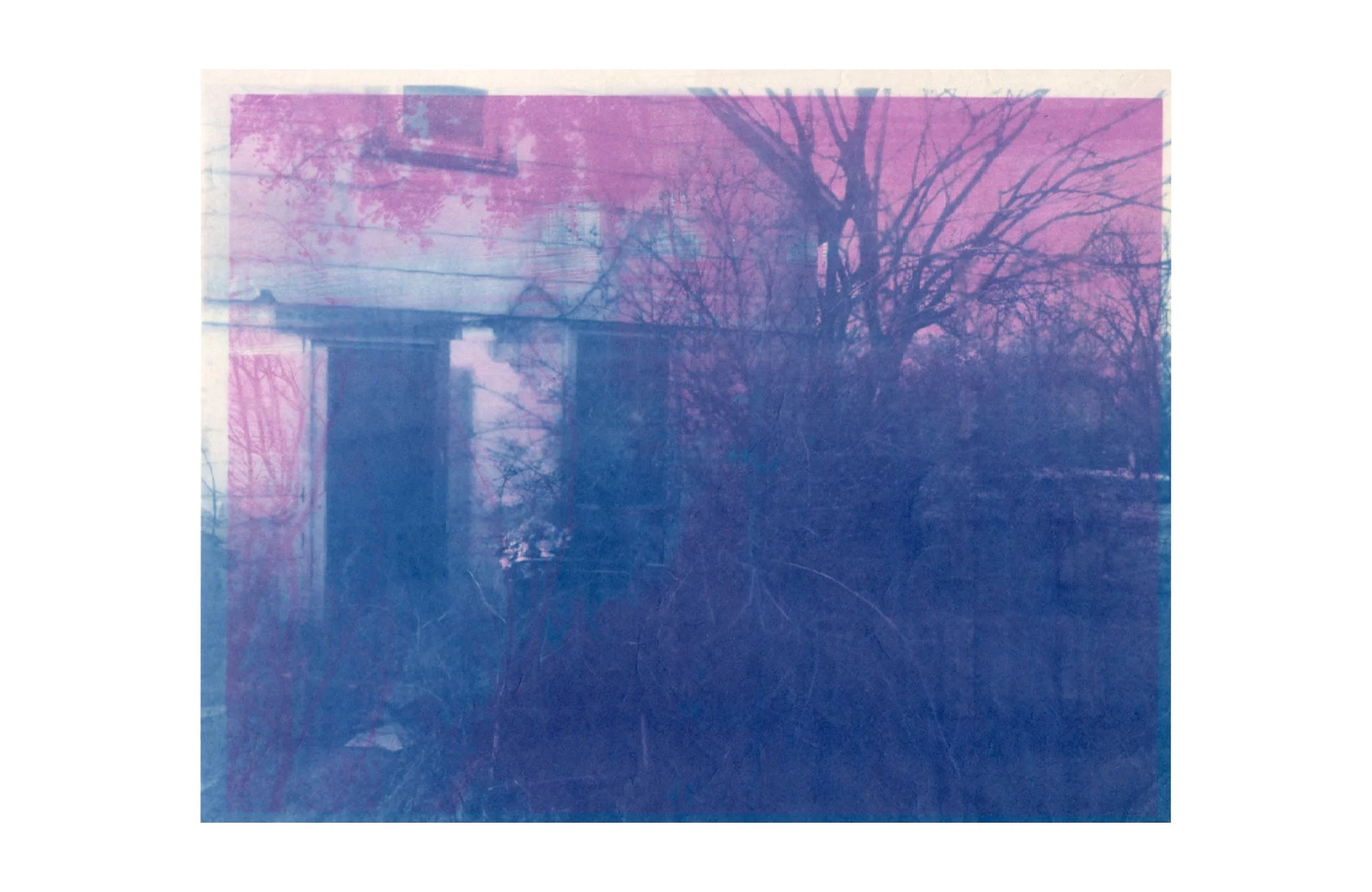 photogram and cyanotype on paper, 2026