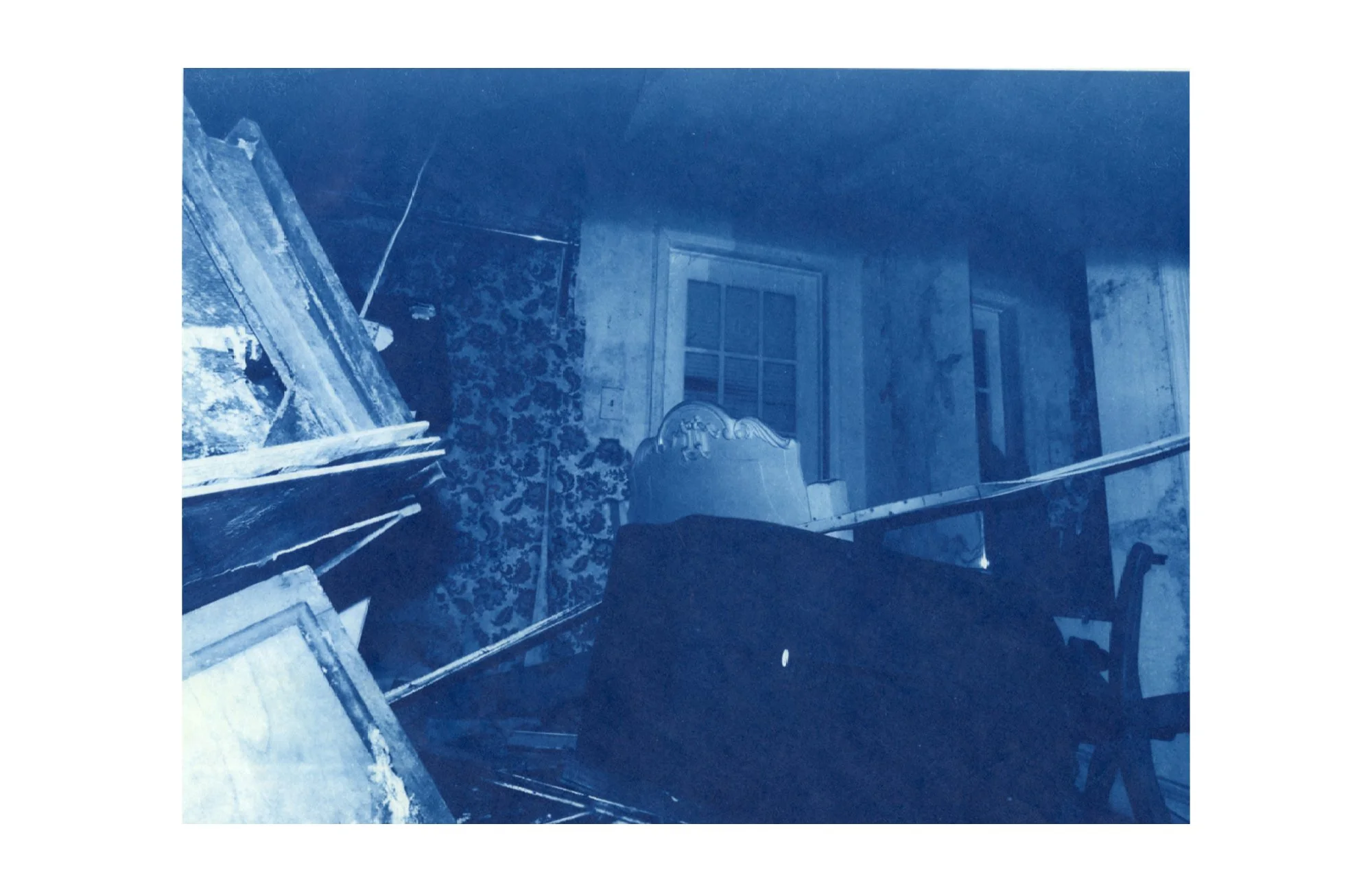 cyanotype on paper, 2026