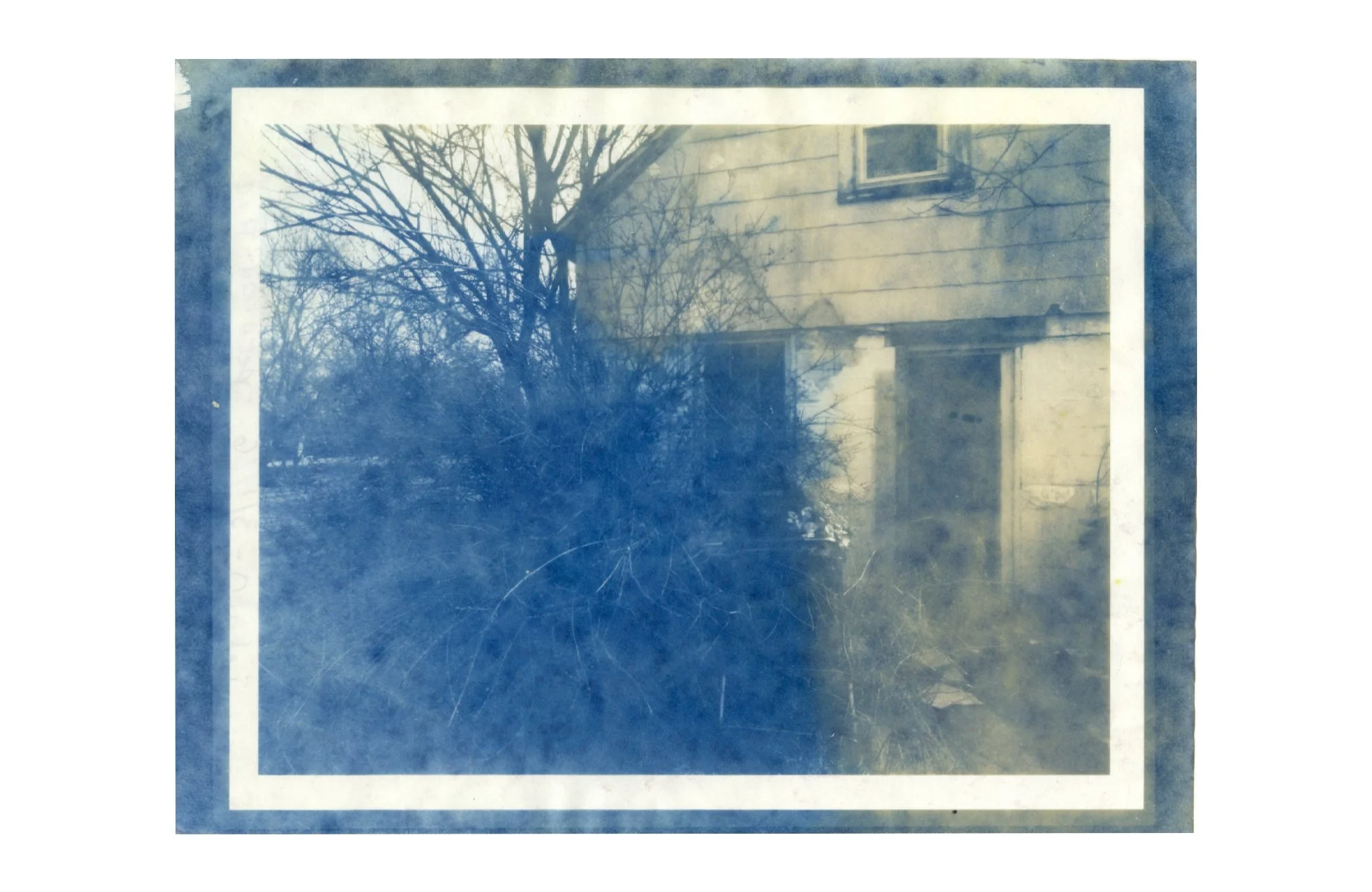 bleached and toned cyanotype on paper, 2026