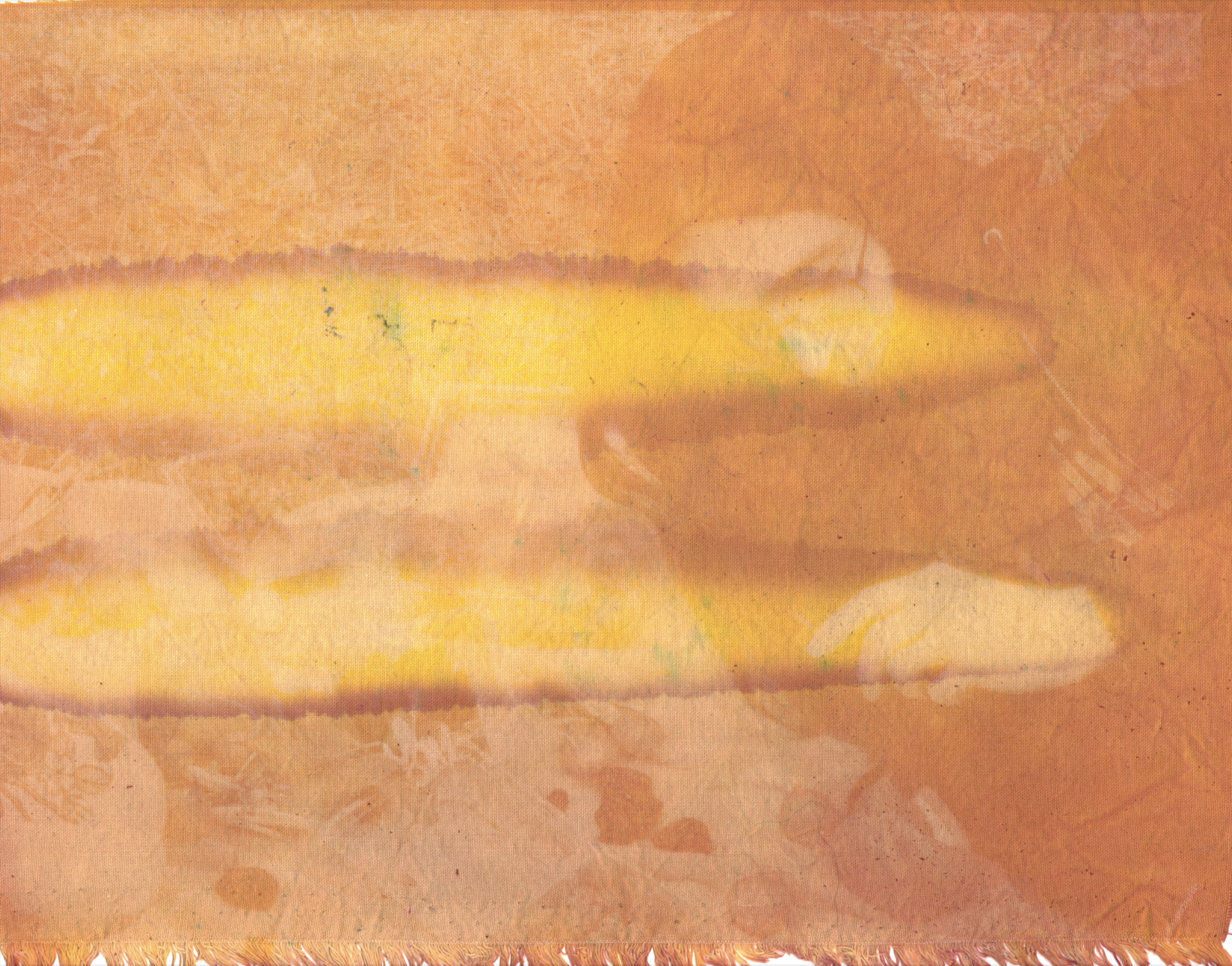 Butch/Femme Picnic, tumeric and beet anthotype on cotton.