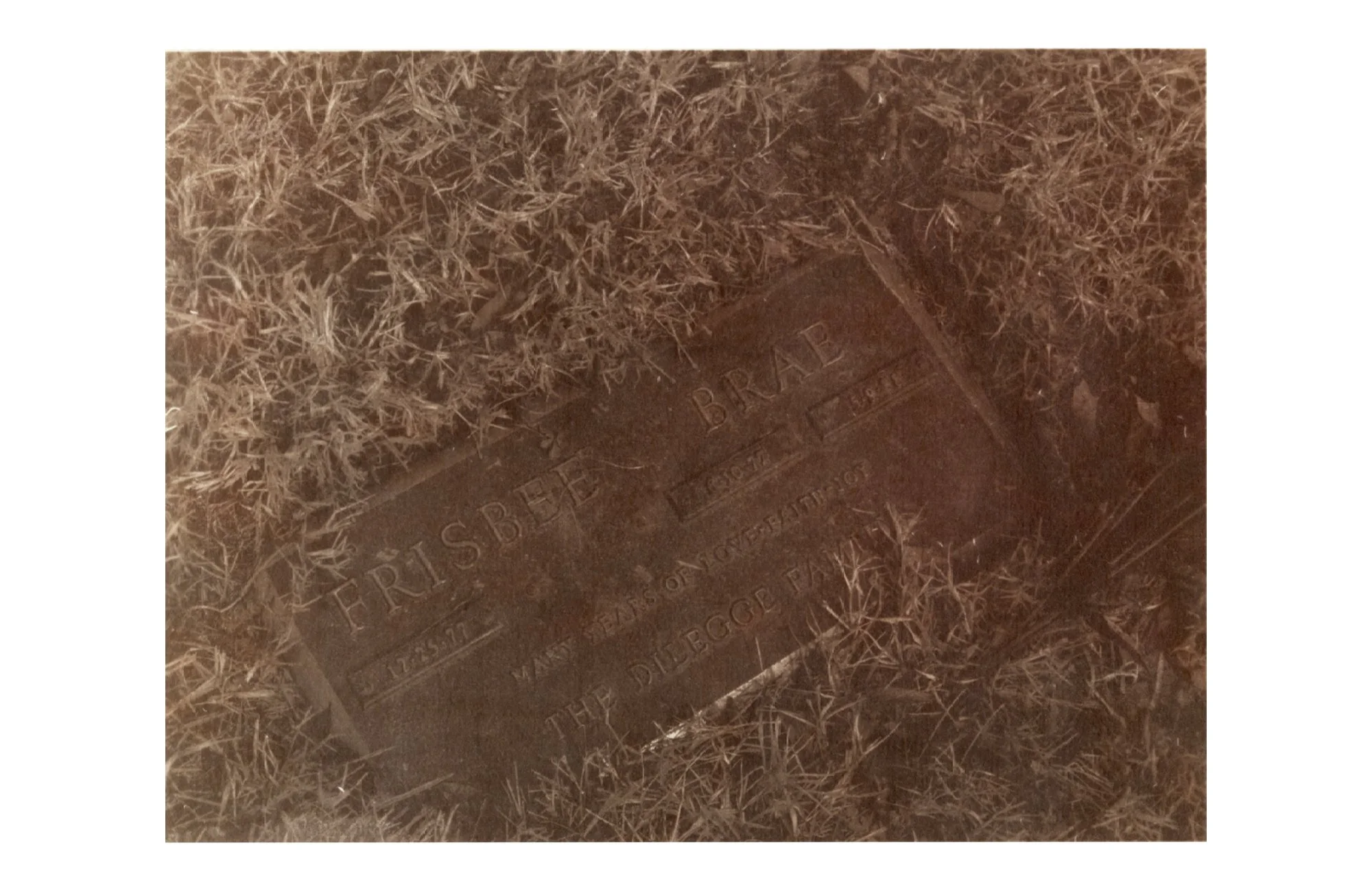 van dyke on paper, 2026