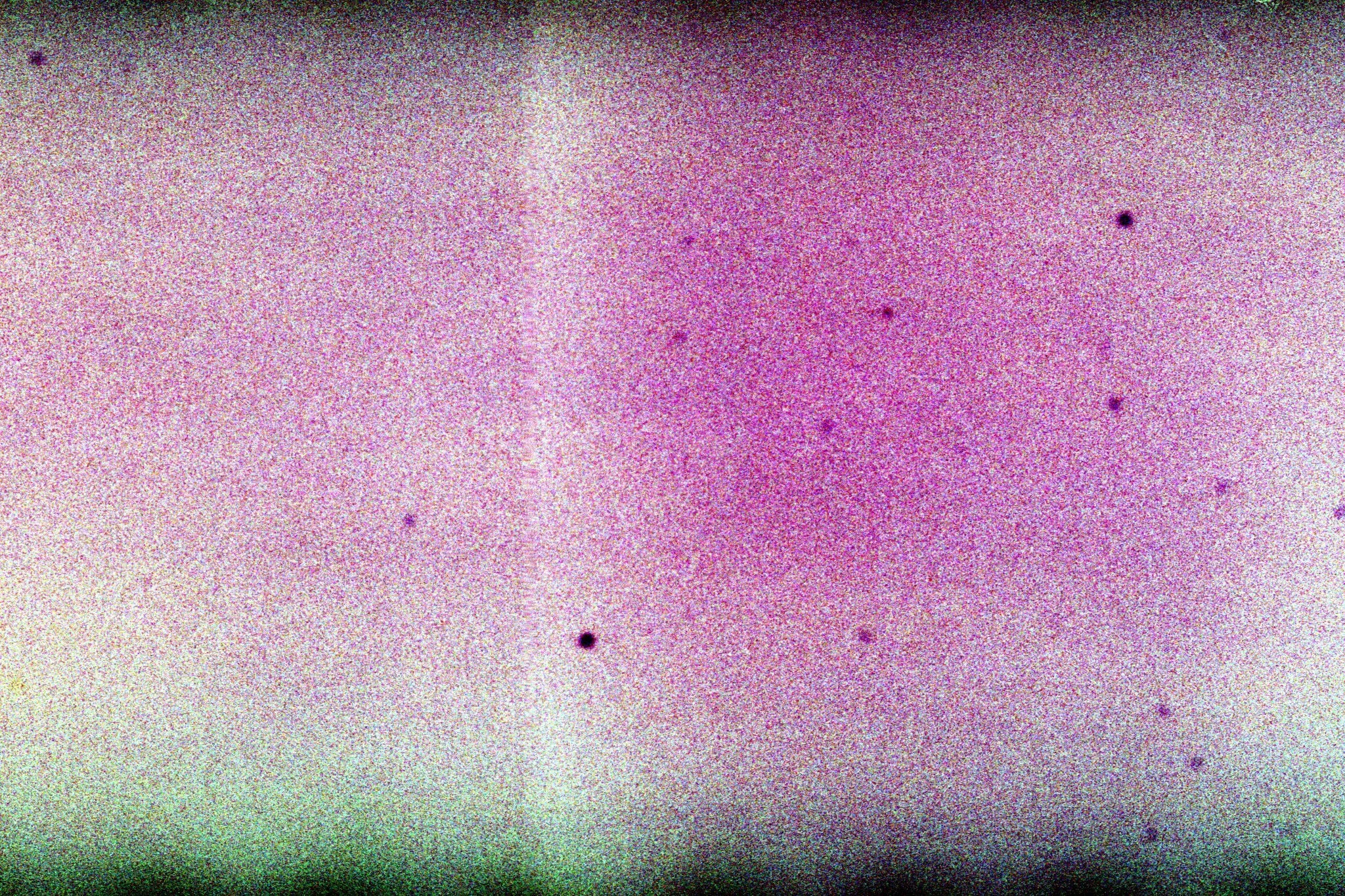 photo55.jpg