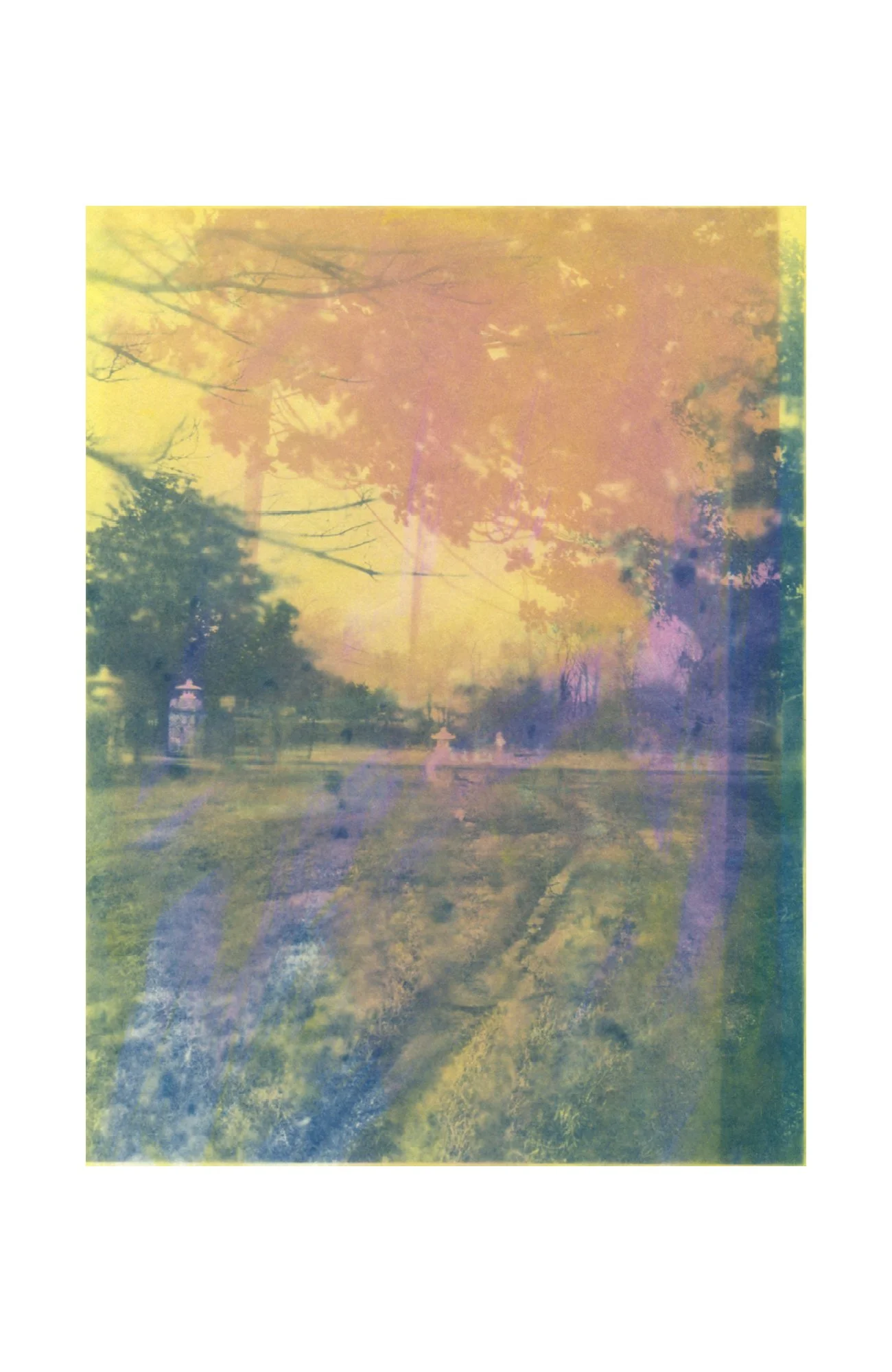 photogram and cyanotype on paper, 2026