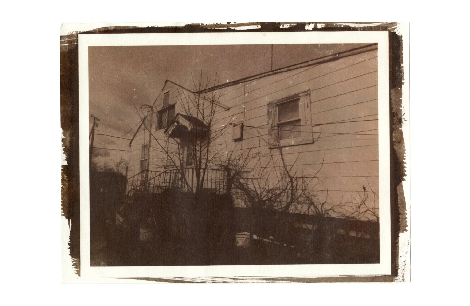 van dyke on paper, 2026