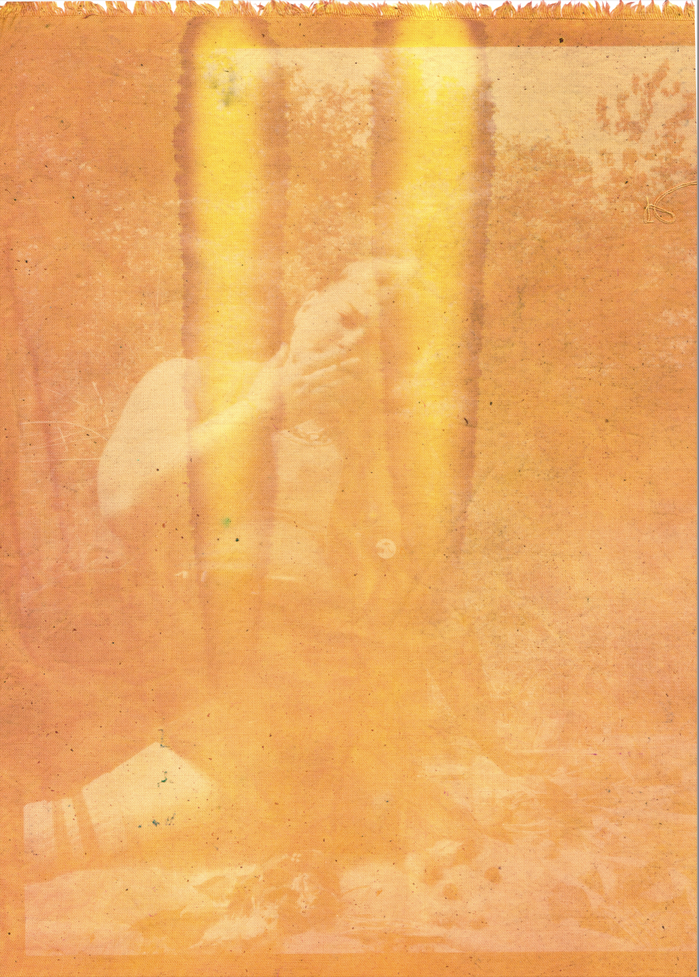 Butch/Femme Picnic, tumeric and beet anthotype on cotton.