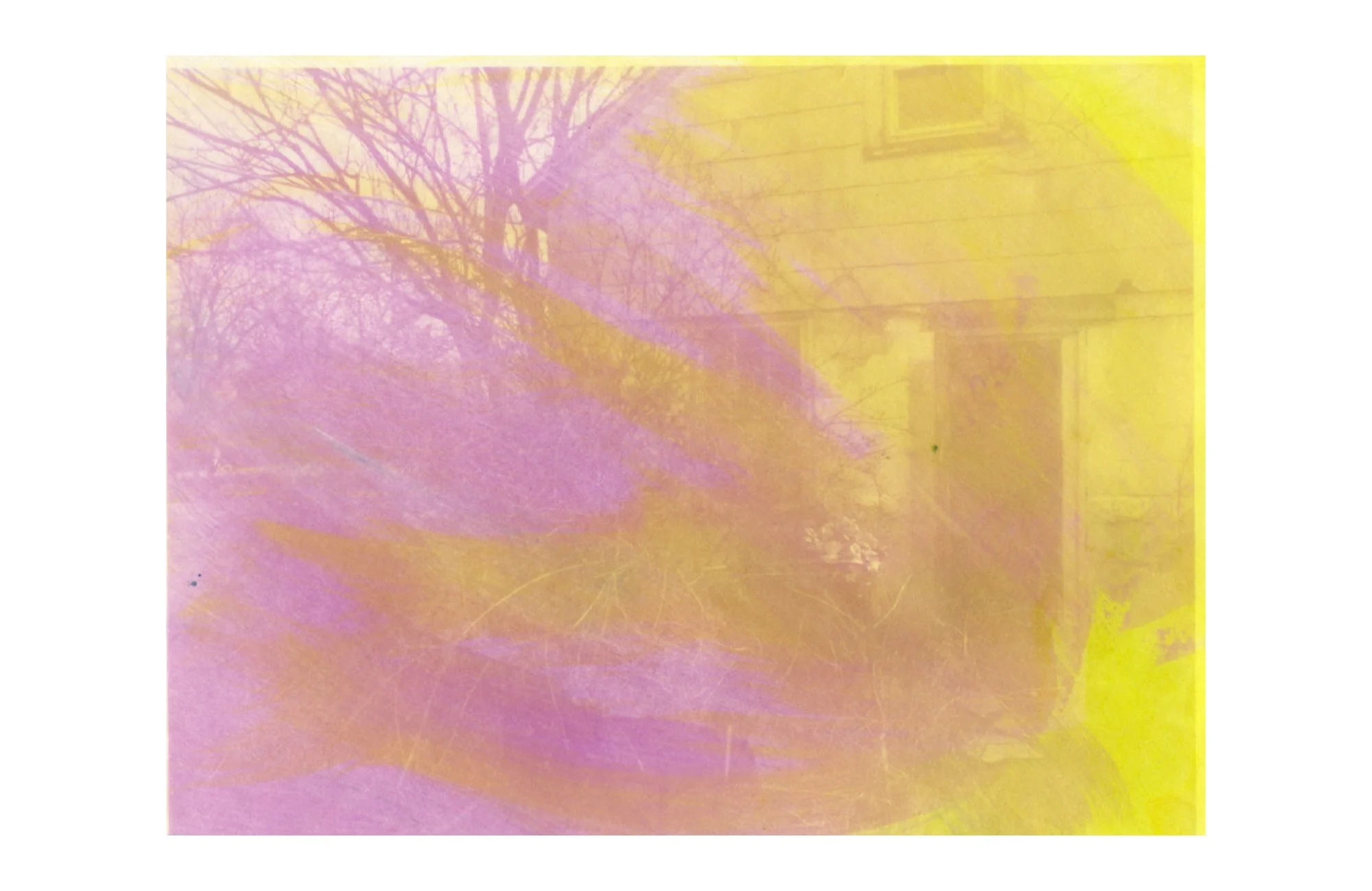 photogram on paper, 2026