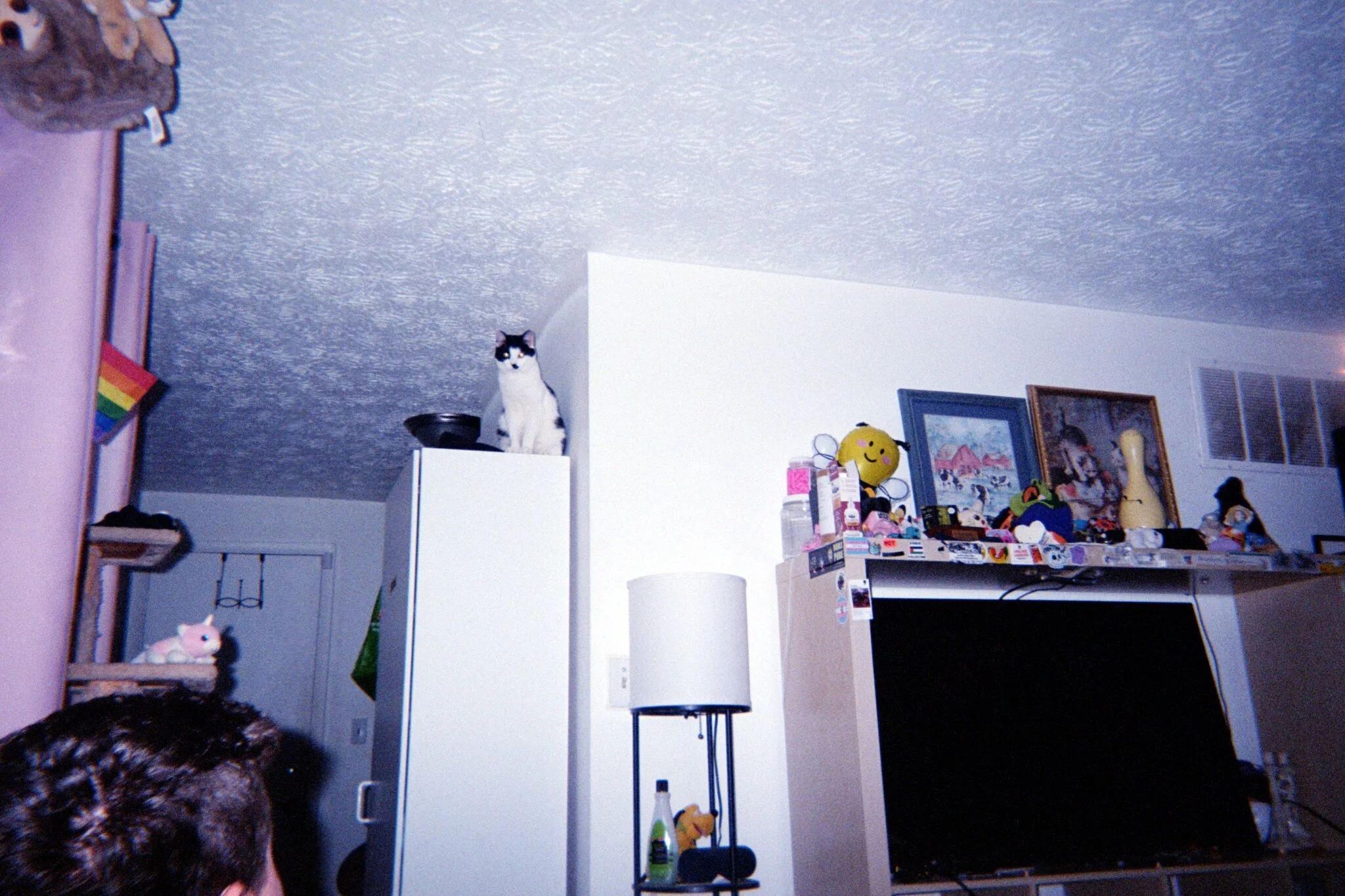 photo34.jpg