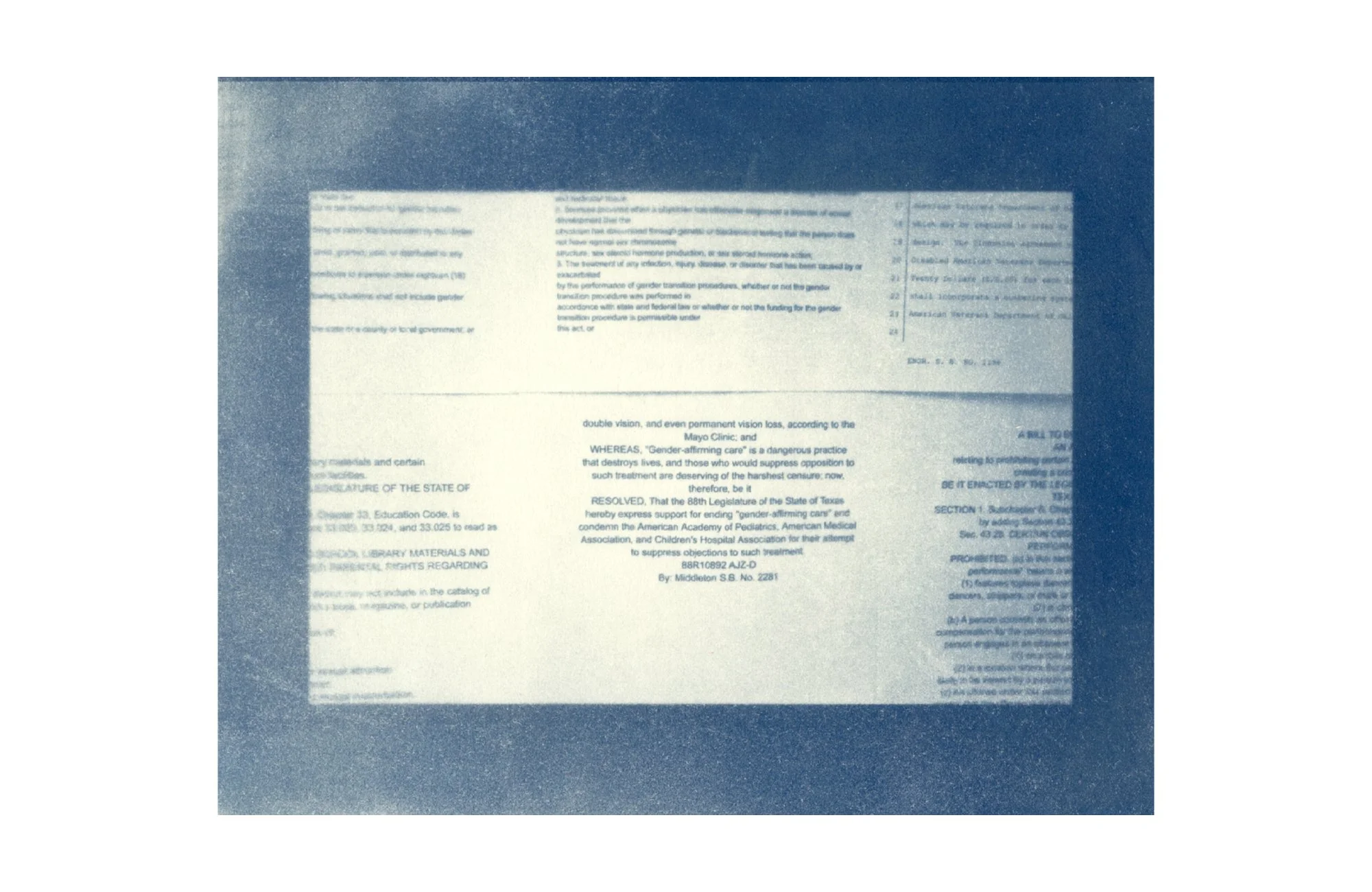 Untitled (installation cyanotype), 2026