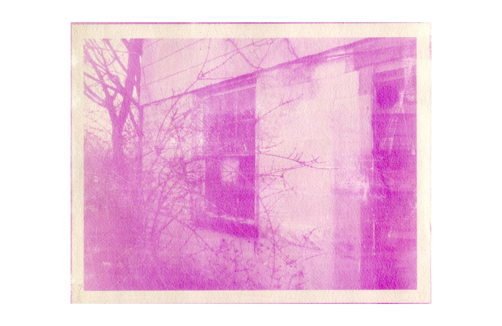 photogram on paper, 2026