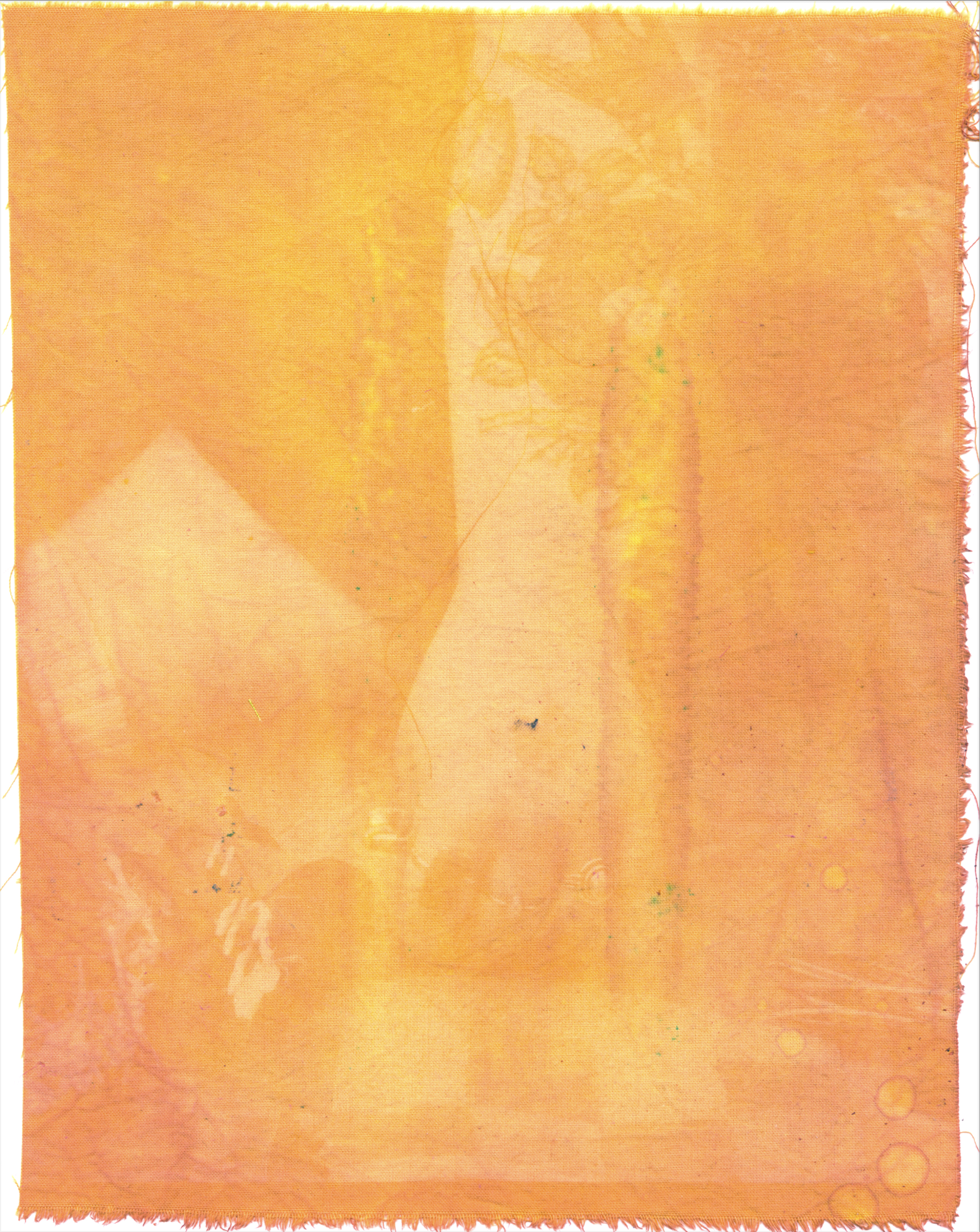 Butch/Femme Picnic, tumeric and beet anthotype on cotton.