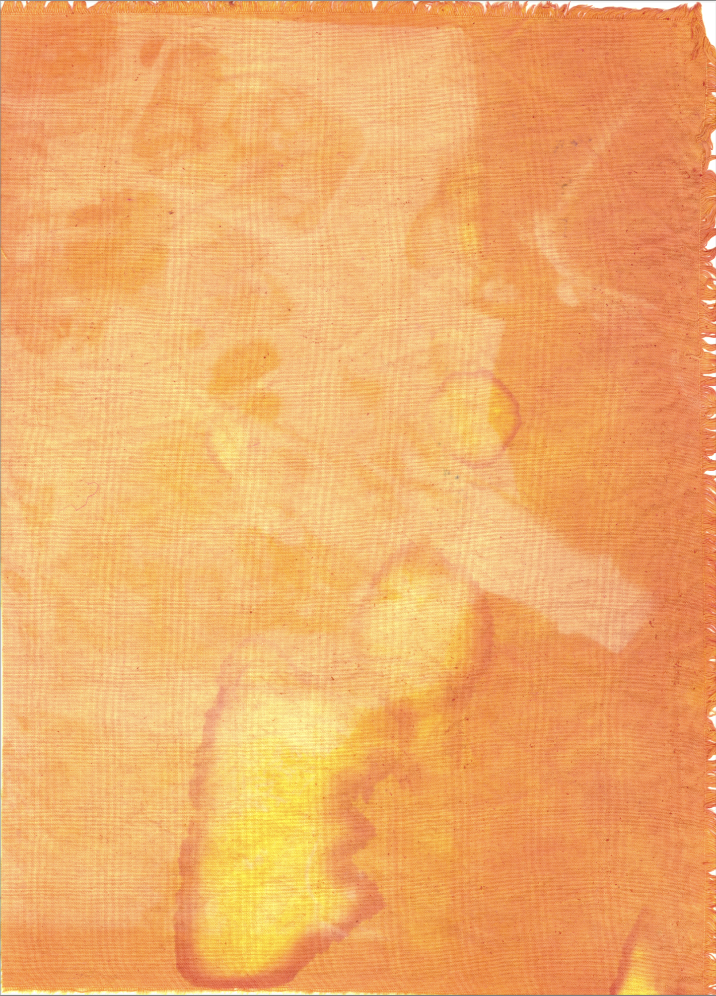 Butch/Femme Picnic, tumeric and beet anthotype on cotton.