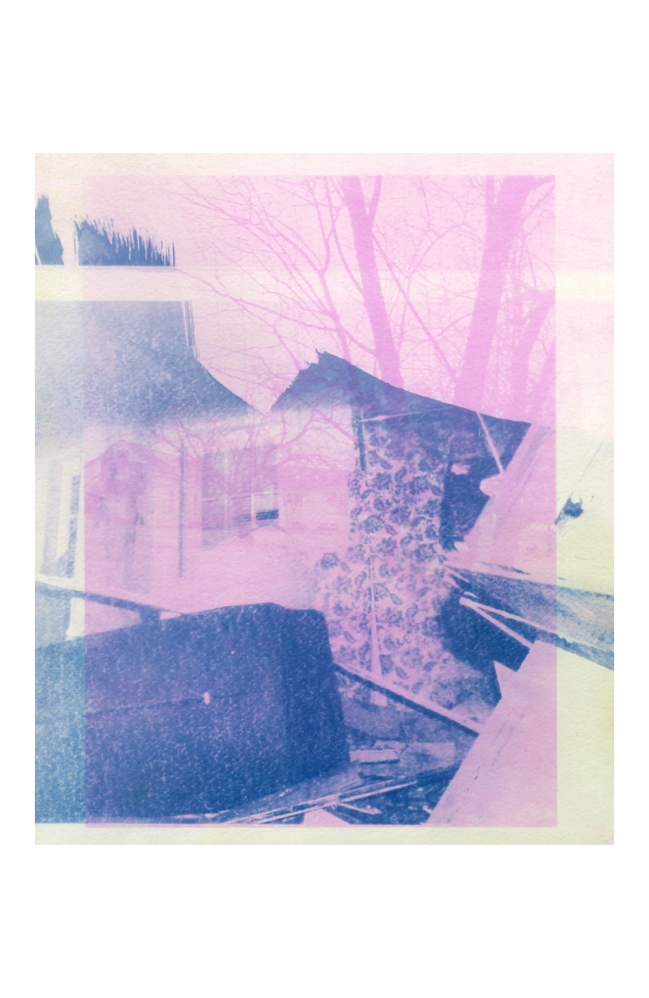 photogram and cyanotype on paper, 2026