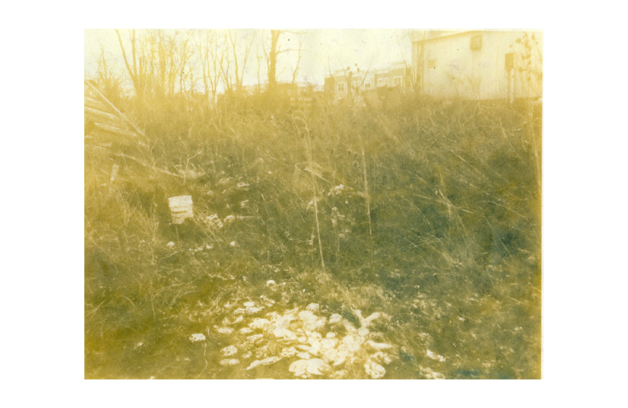 bleached cyanotype on paper, 2026