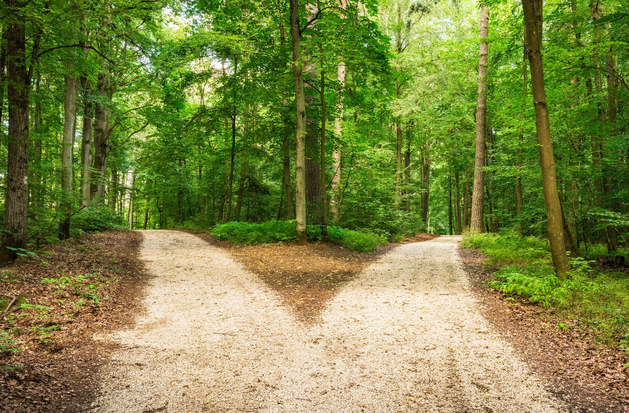 Feeling Stuck? Four Ways to Navigate Life's Challenges&nbsp;