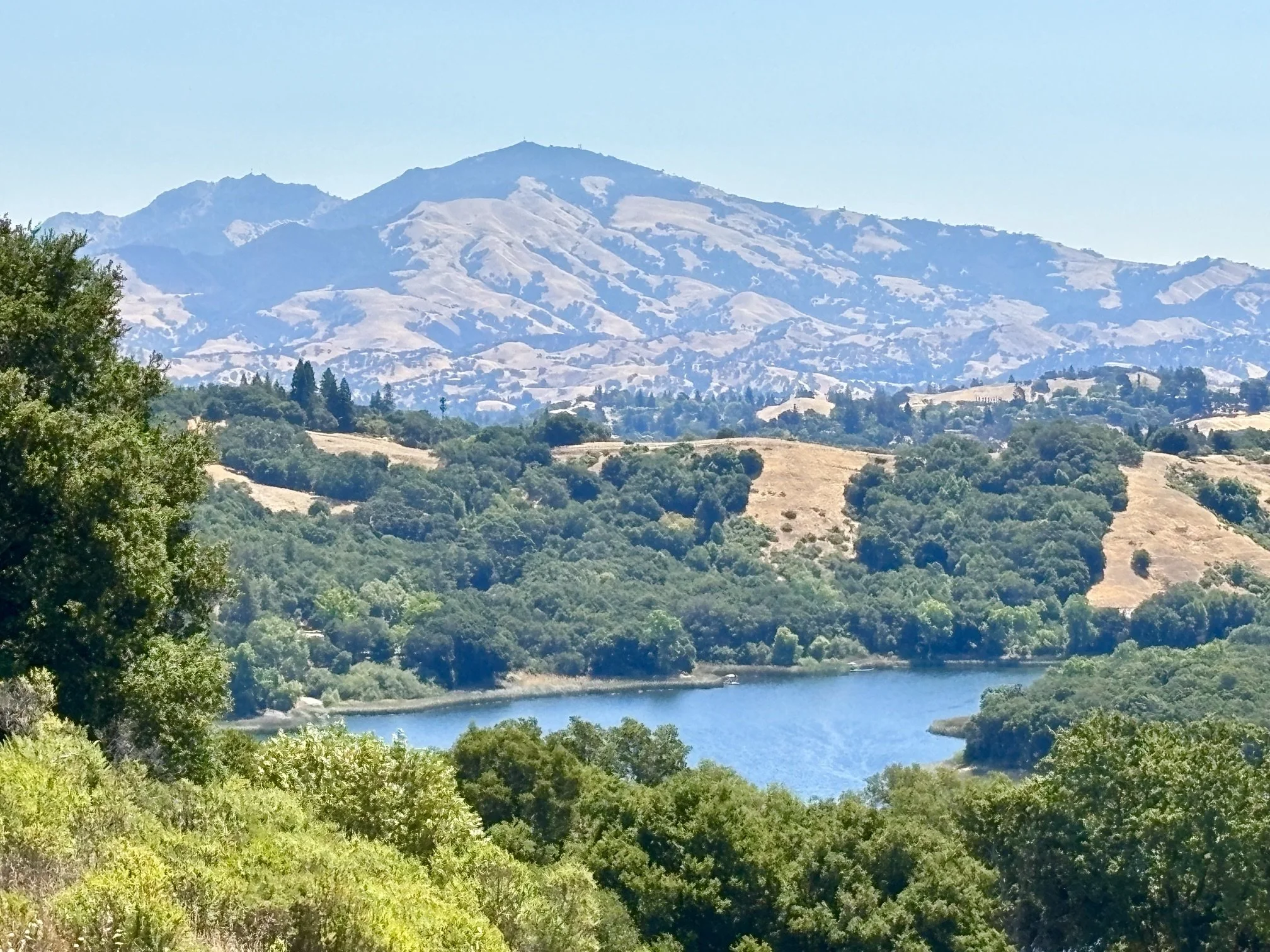 Things to Do in Walnut Creek When You’re Feeling Stressed