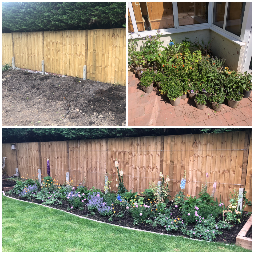 Progression of a garden with a wooden fence: top left shows an empty soil bed, top right shows potted plants on a patio, and bottom shows a lush flower bed with colorful flowers and a wooden fence in the background.