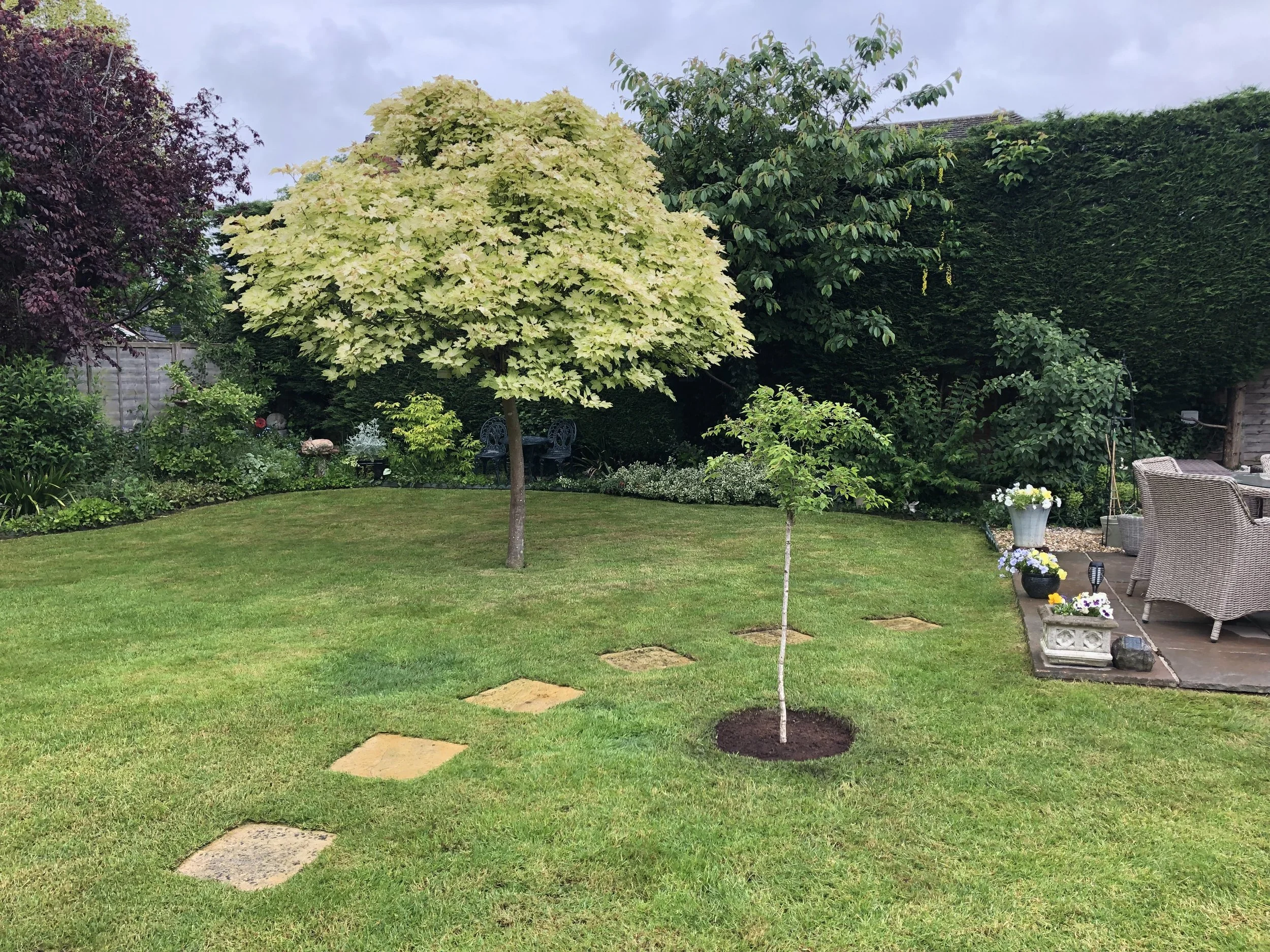 cherry tree planting after - Copy.jpeg