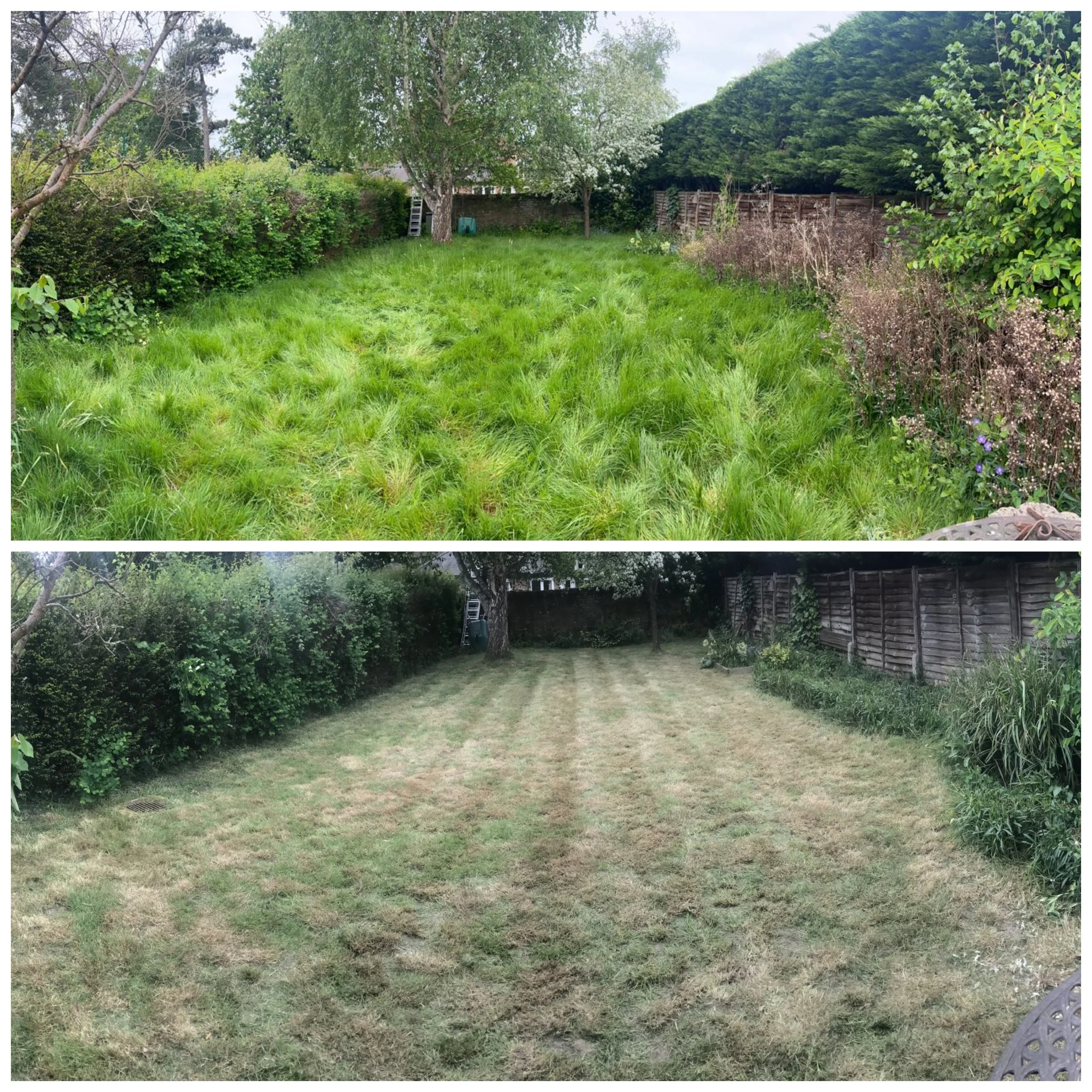 Coach House before after.jpg
