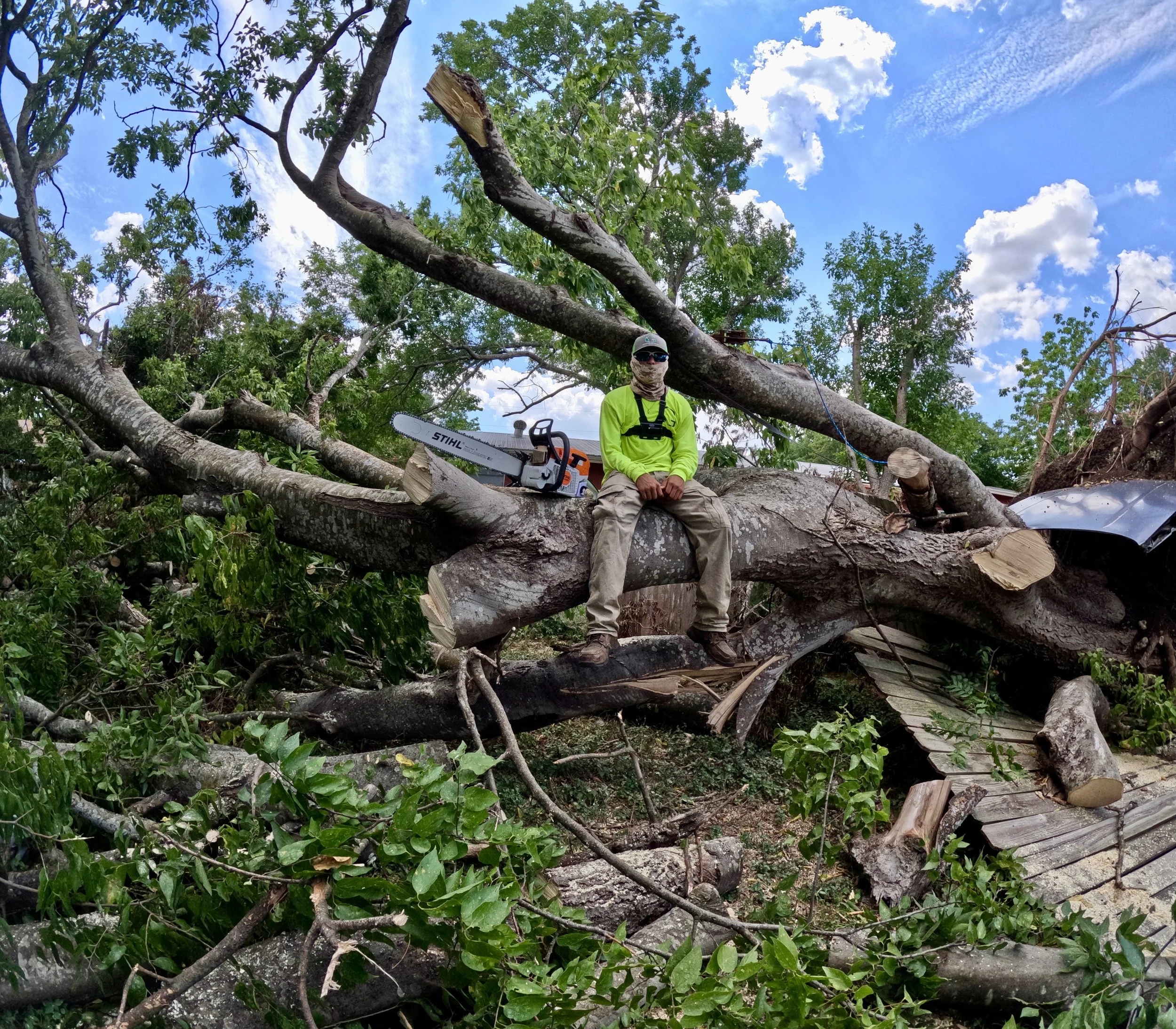 Person wearing a neon yellow shirt sitting on a fallen tree after a storm, with a chainsaw nearby and a car partly visible among the debris, under a partly cloudy sky.