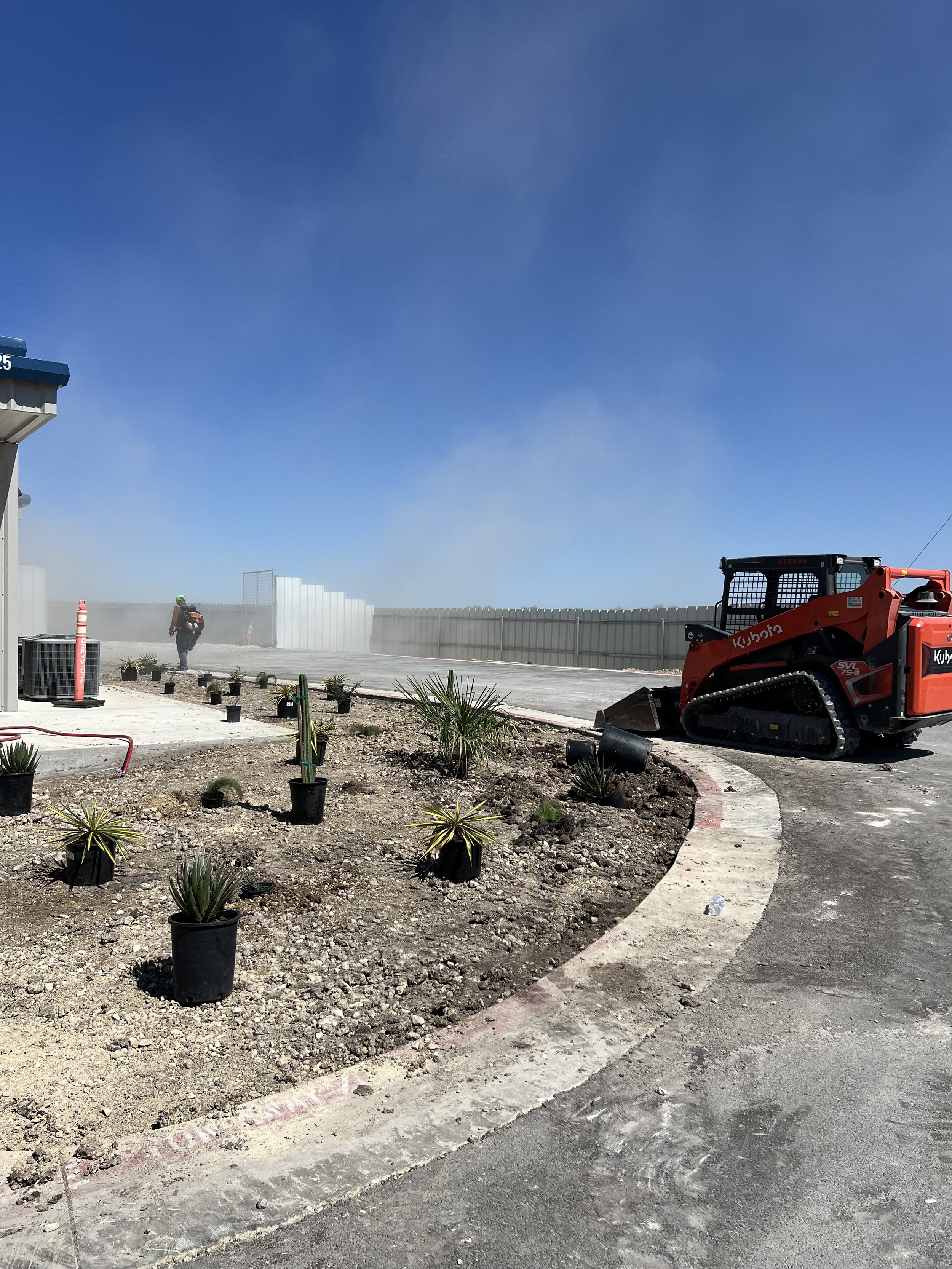 Construction site with a worker wearing a green helmet, a red compact loader, and newly planted desert plants in black pots.