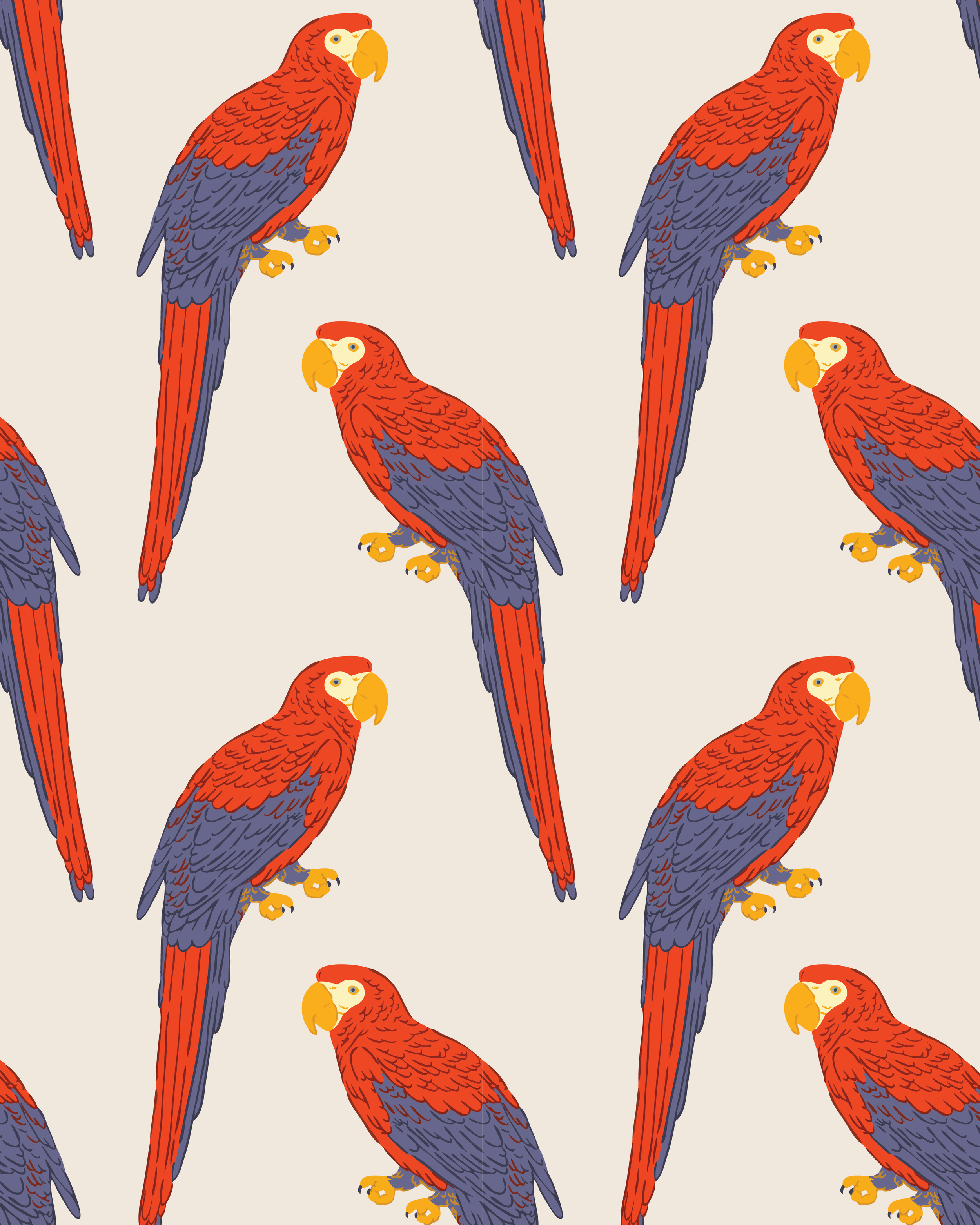 Red Macaws
