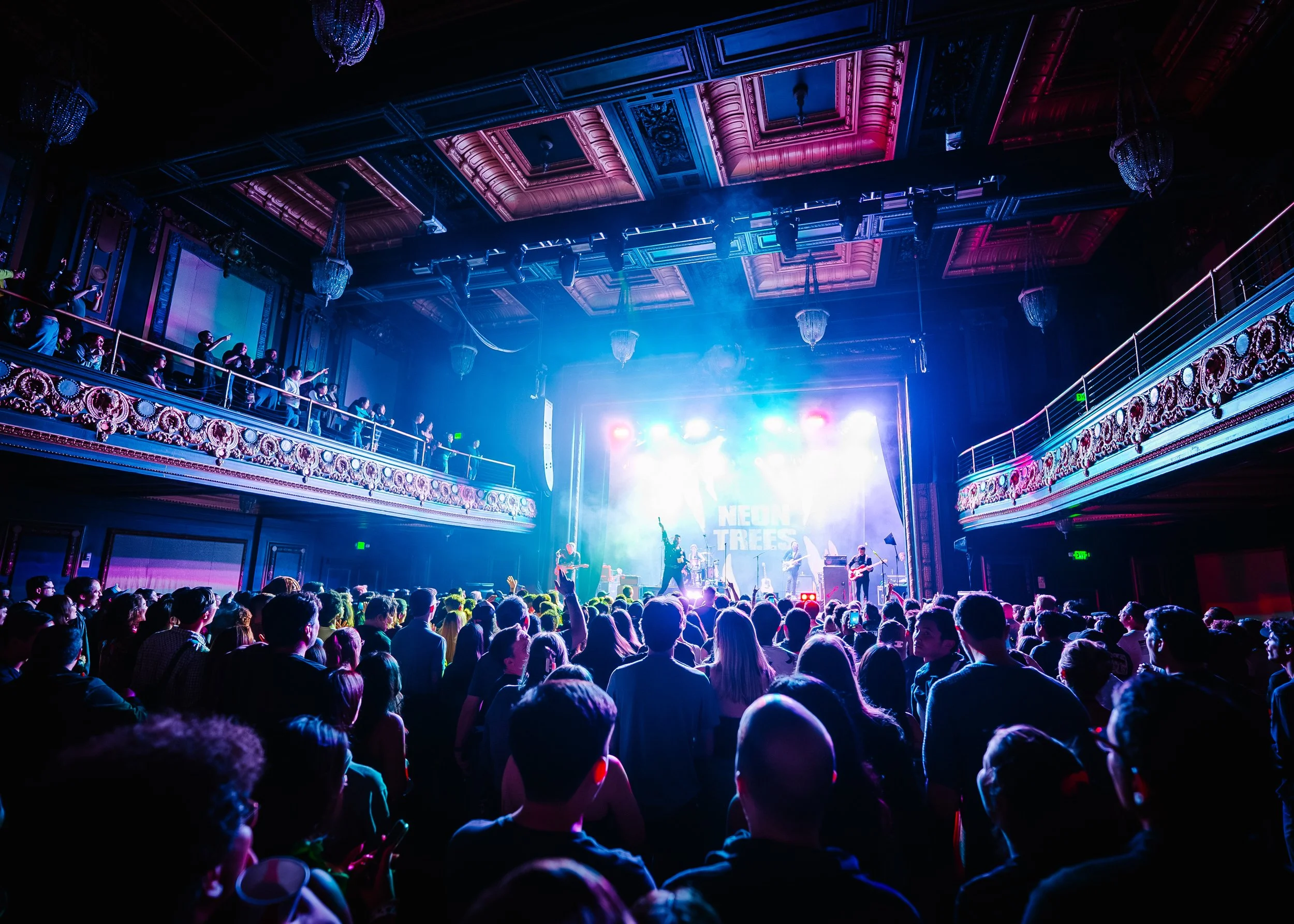 @mediabytb_NeonTrees-11.jpg