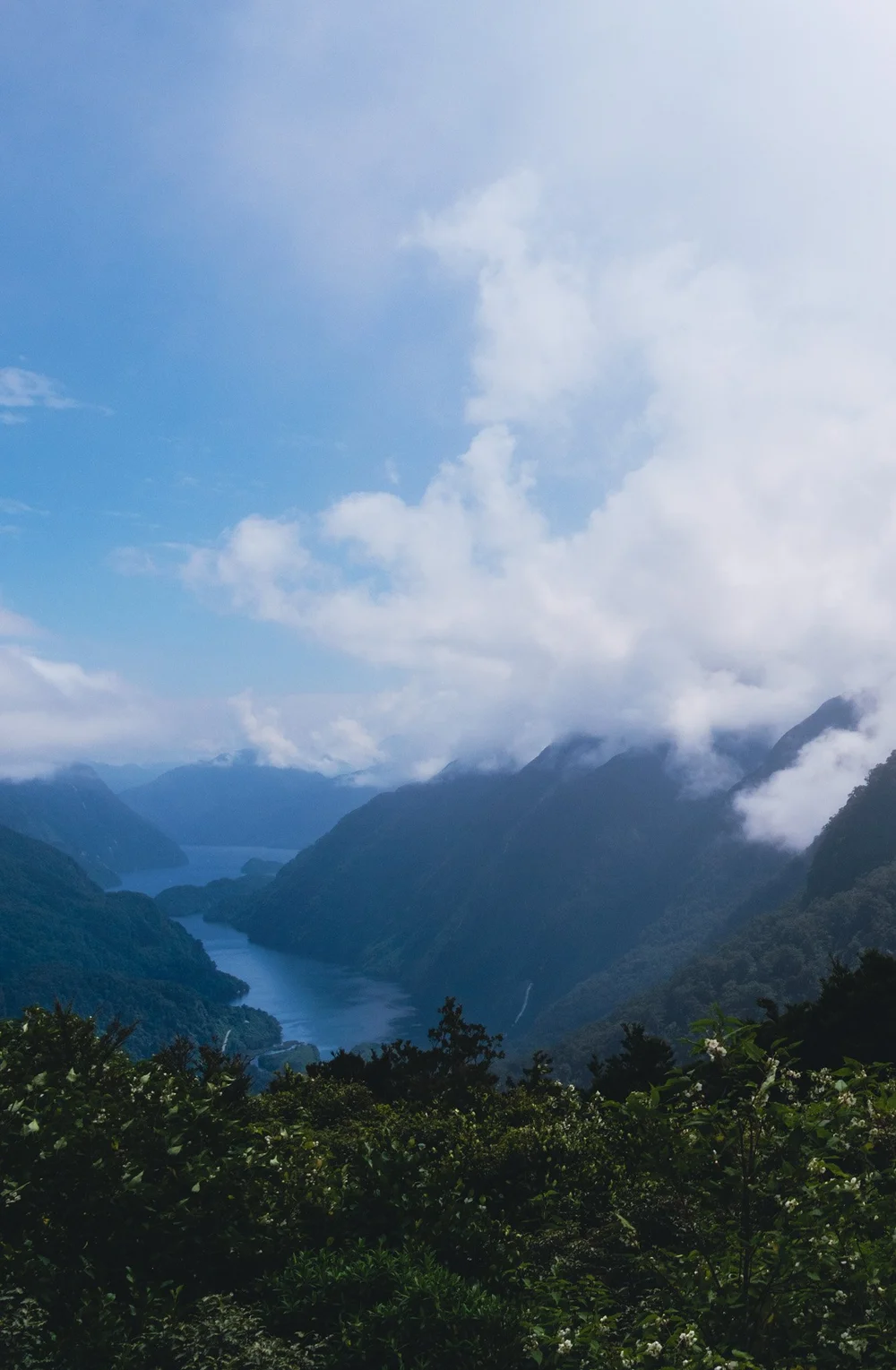 Mystical Creatures Blog-06.jpg