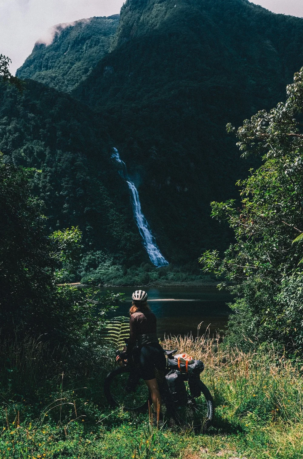 Mystical Creatures Blog-13.jpg