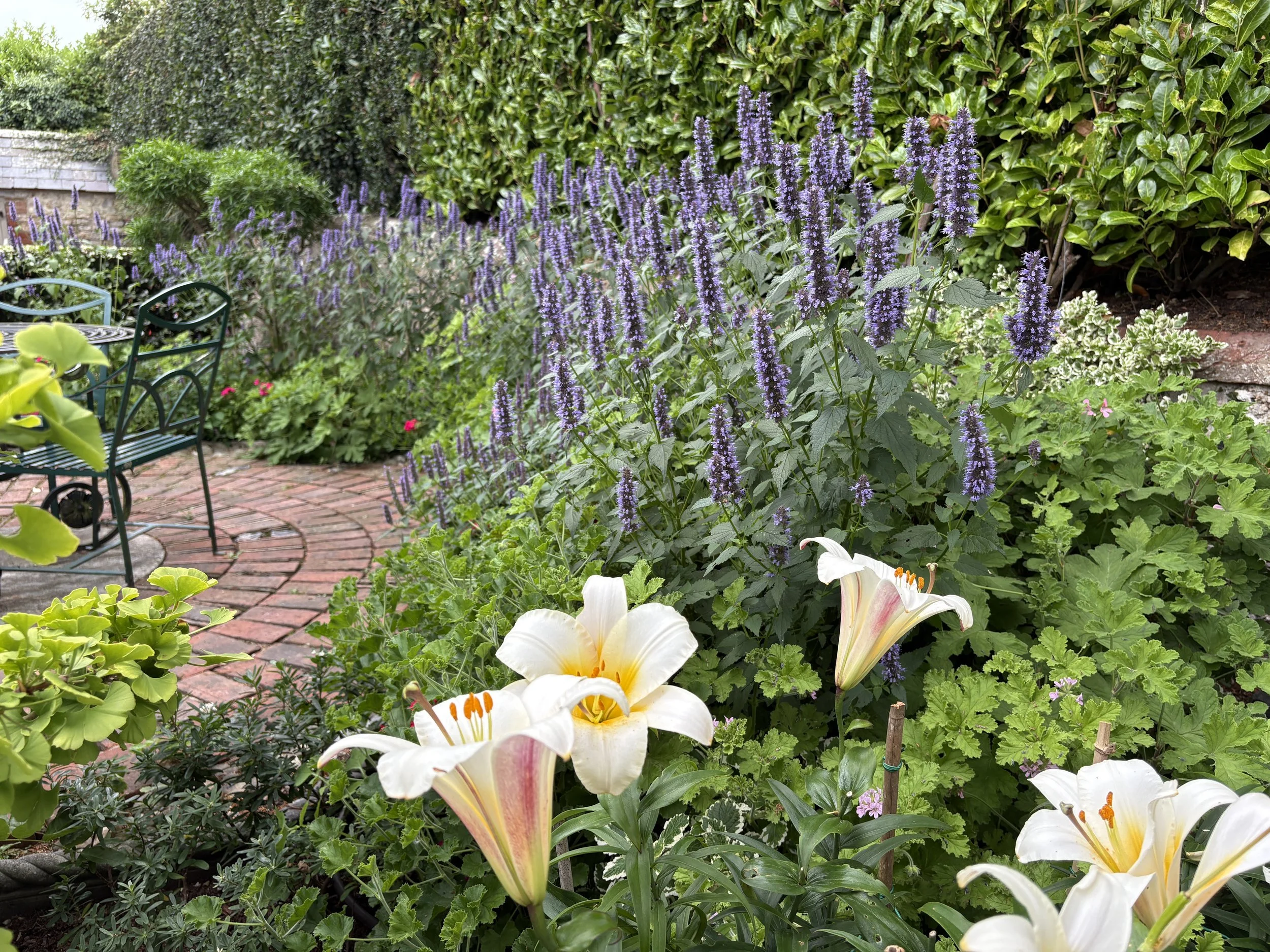 Dramatic Planting
