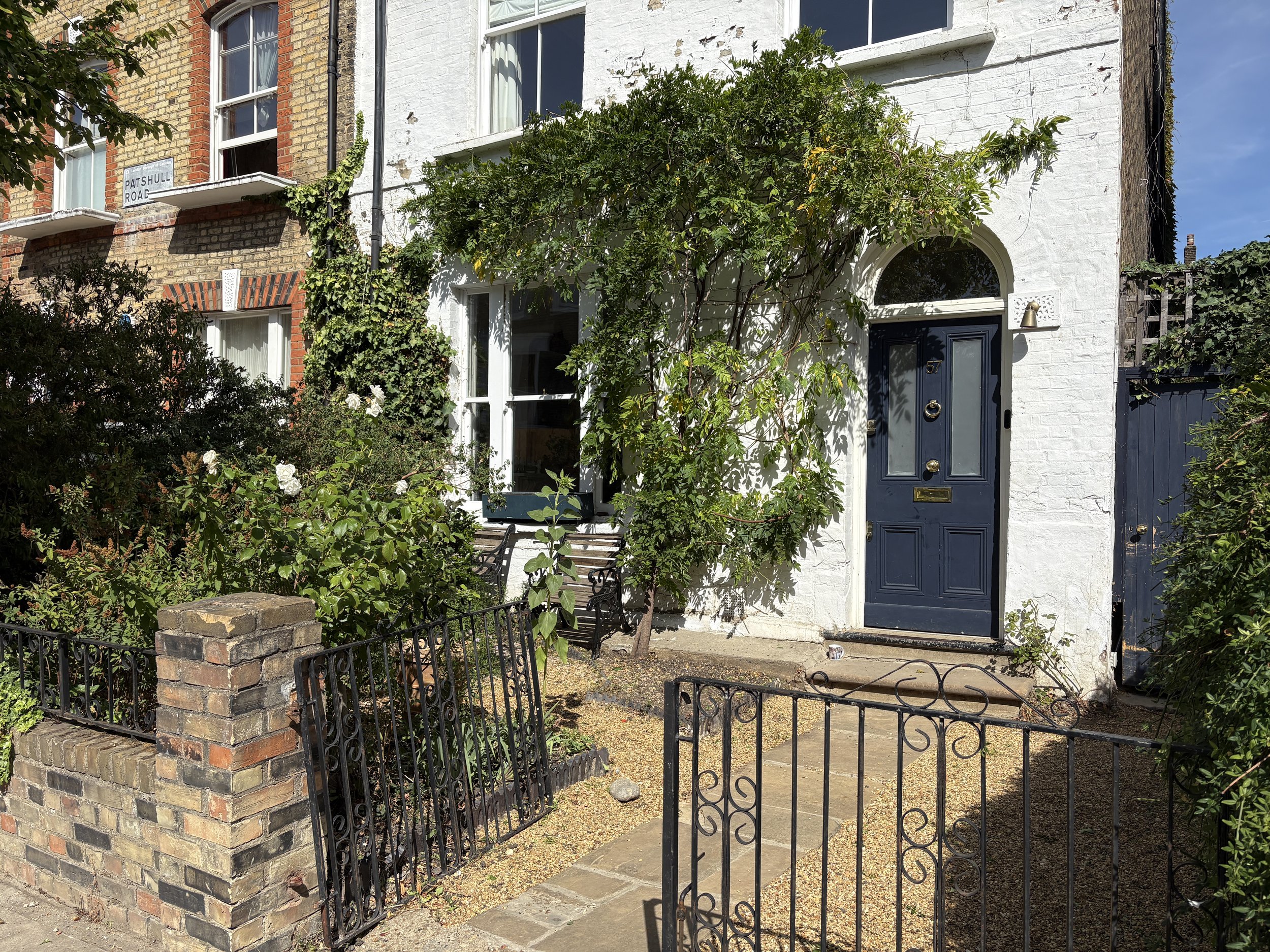 Specialist Wisteria & Climber Pruning