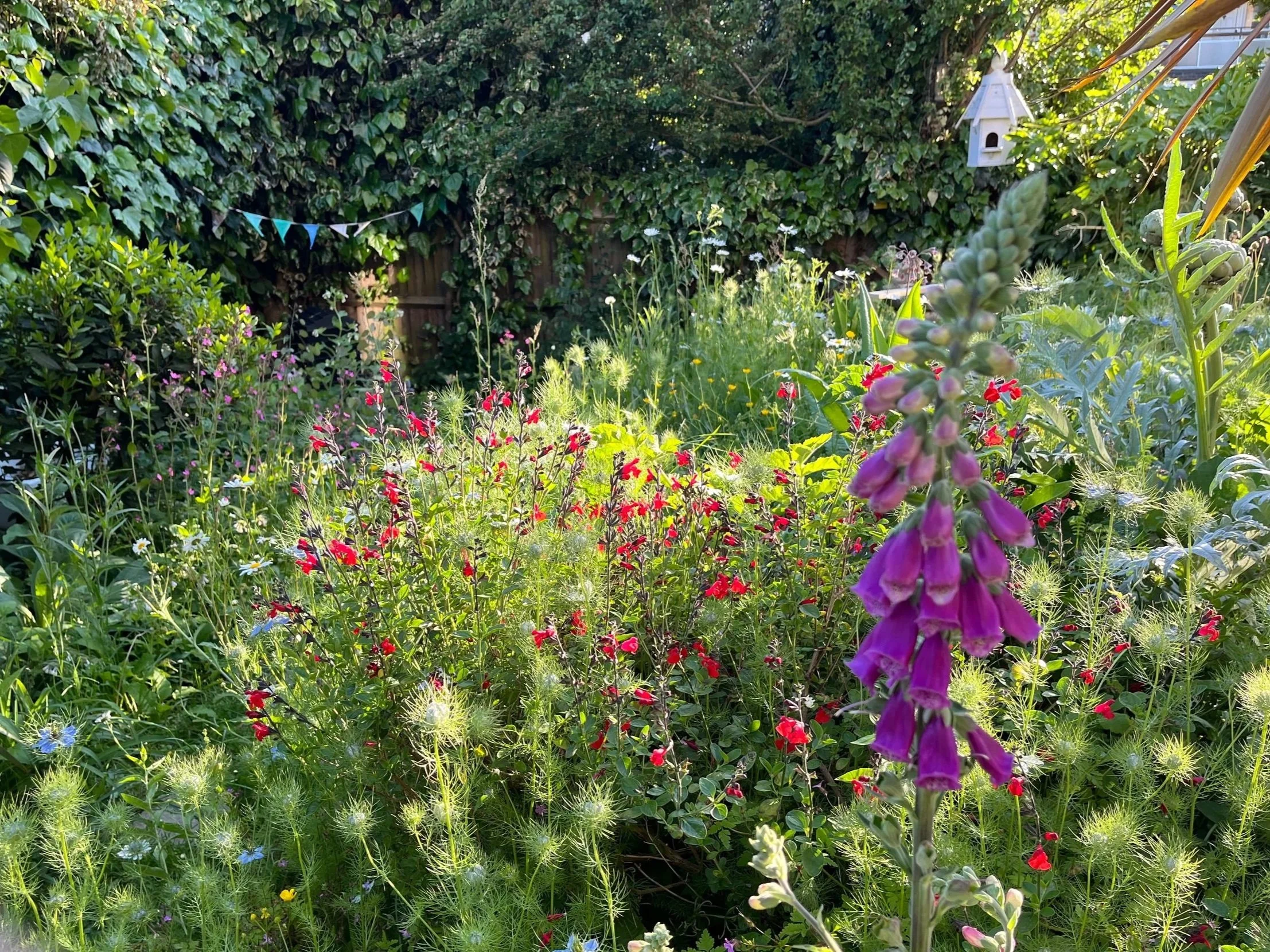 Insect-Friendly-Garden-Wildlife-Naturally-Inspired-Garden-Design.jpg