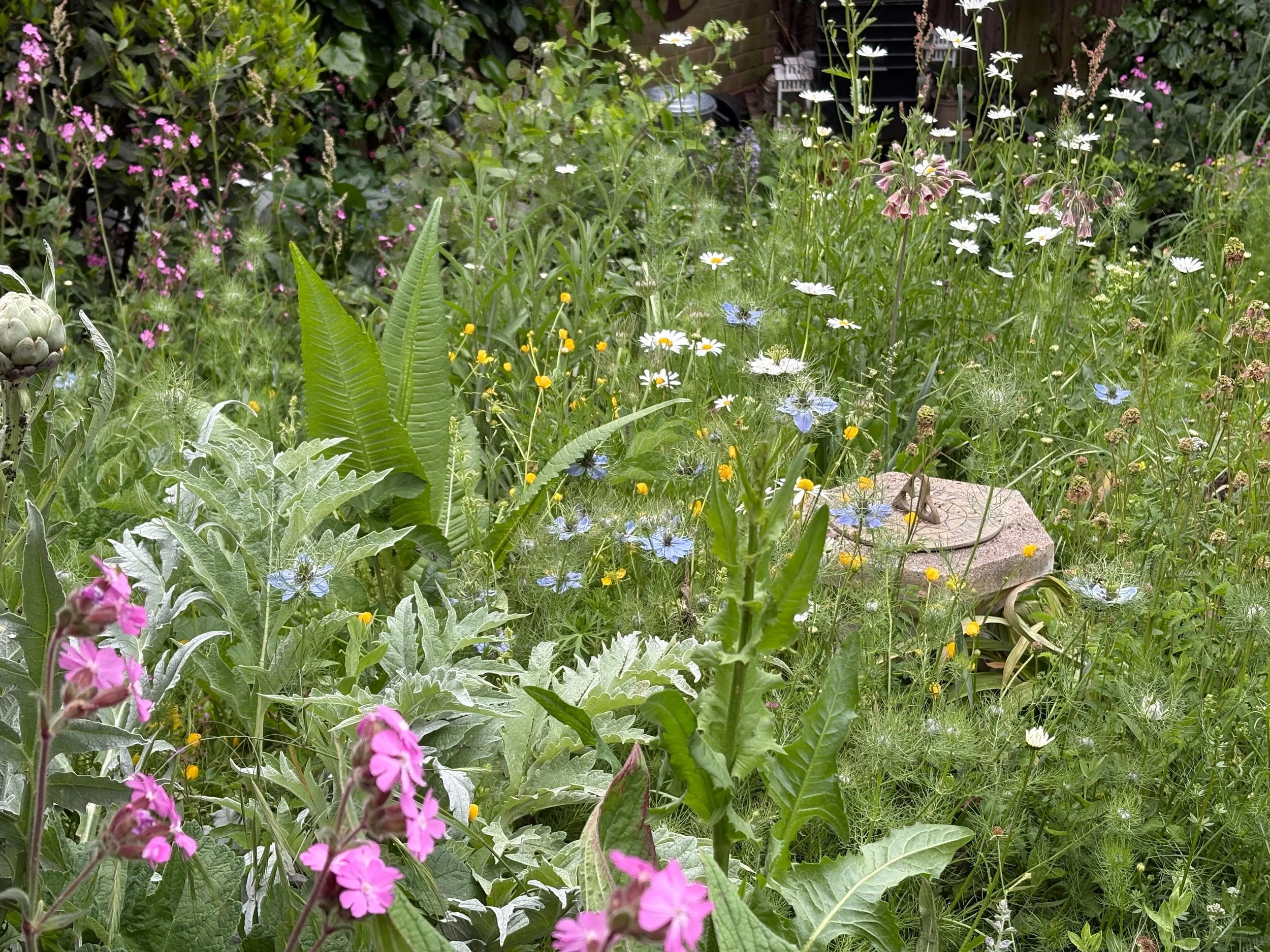 Pollinator Planting