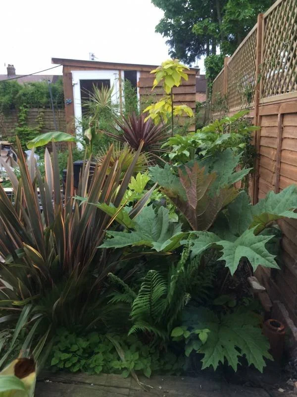Tropical Style Planting