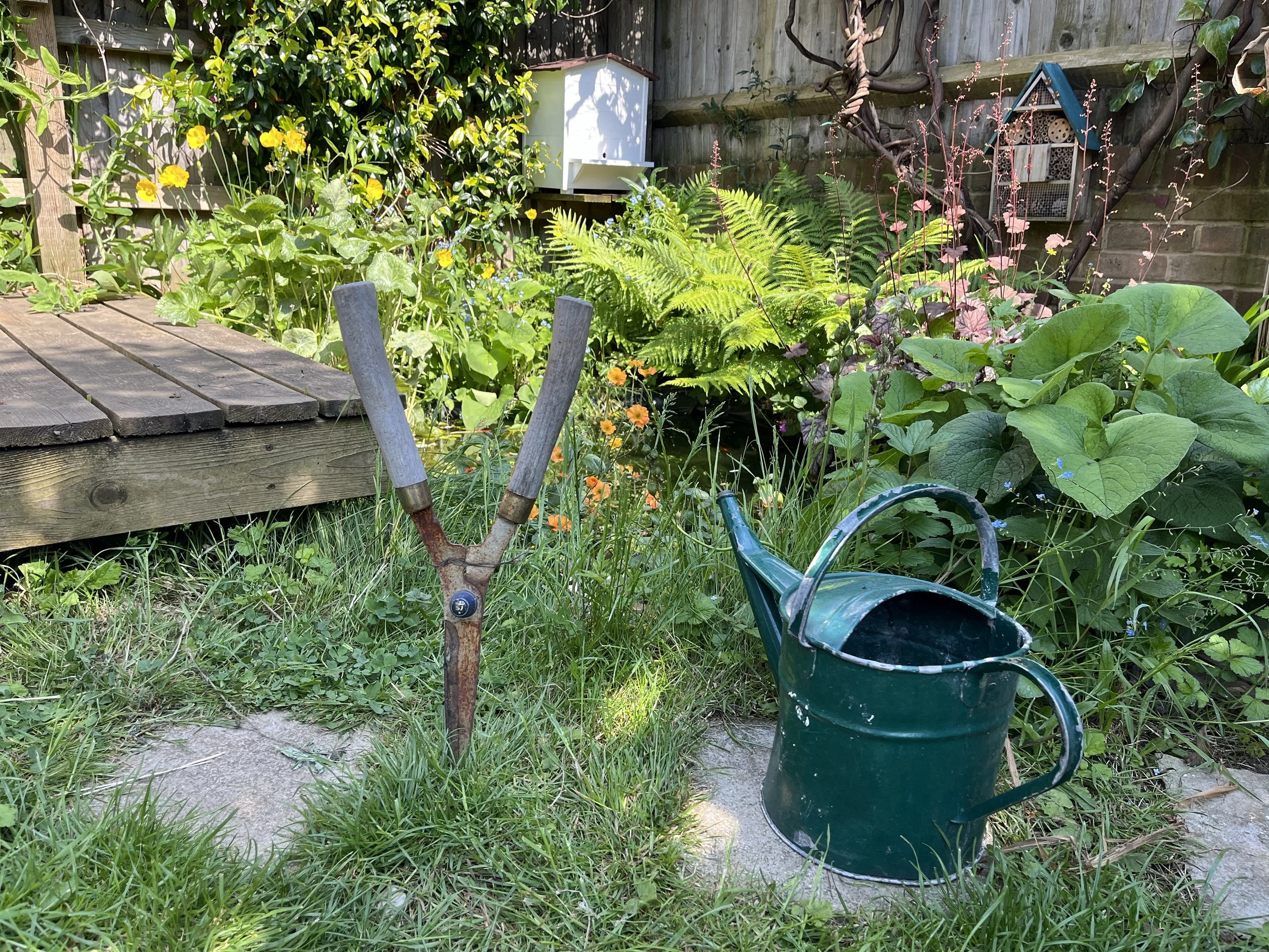 Garden Services & Restoration