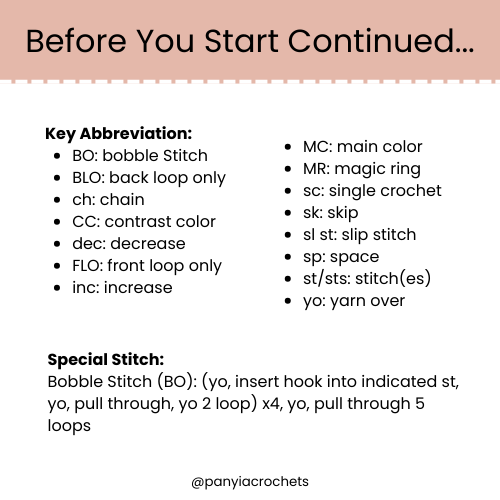 Before You Start Continued.png
