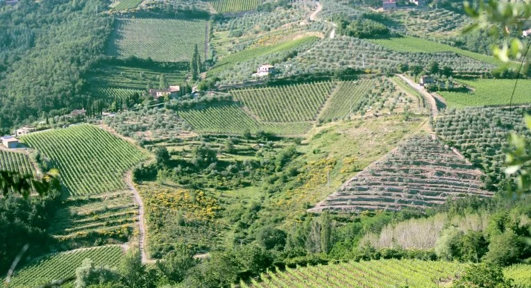 06Tuscany (1).jpg