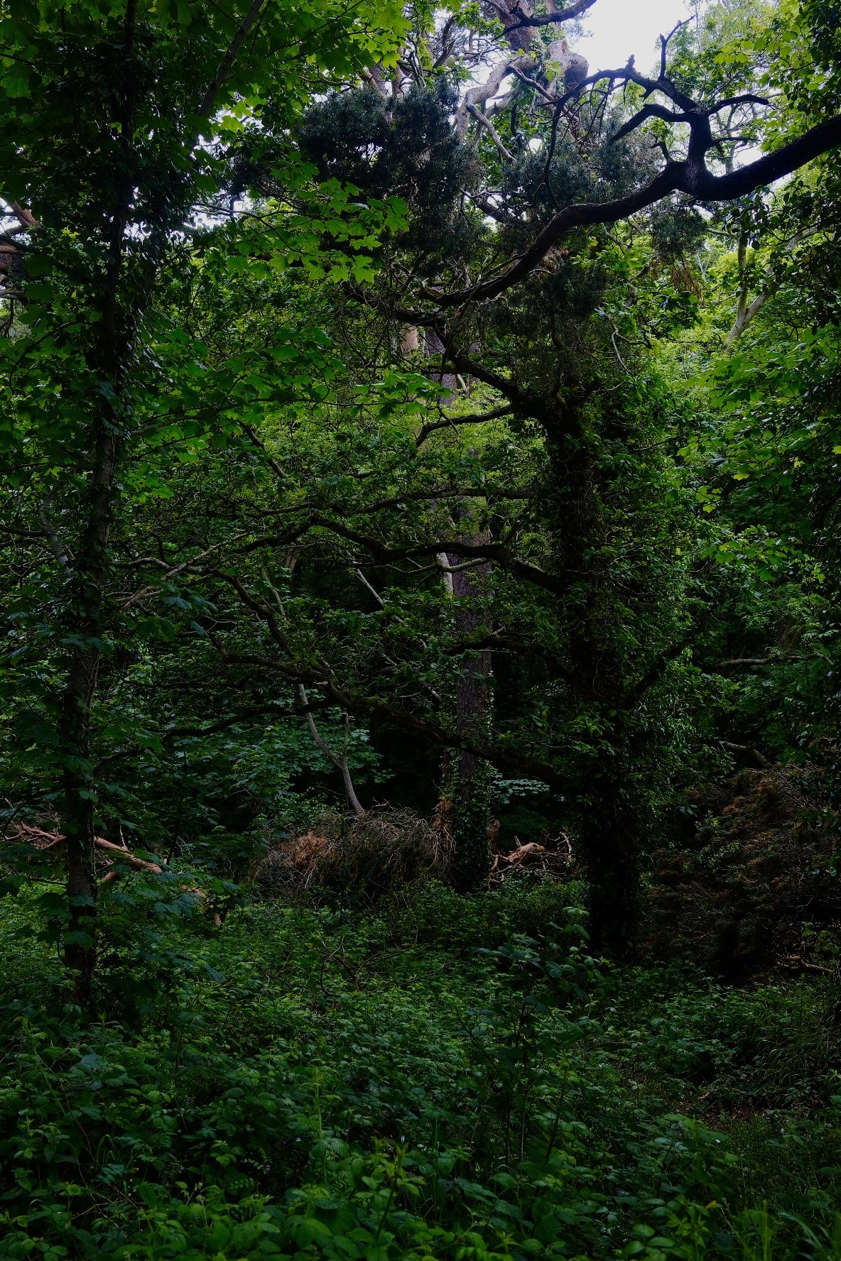 DSCF8866.jpg