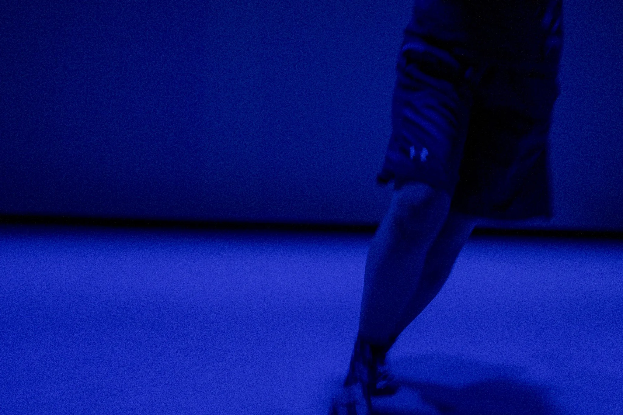 DSCF2593.jpg