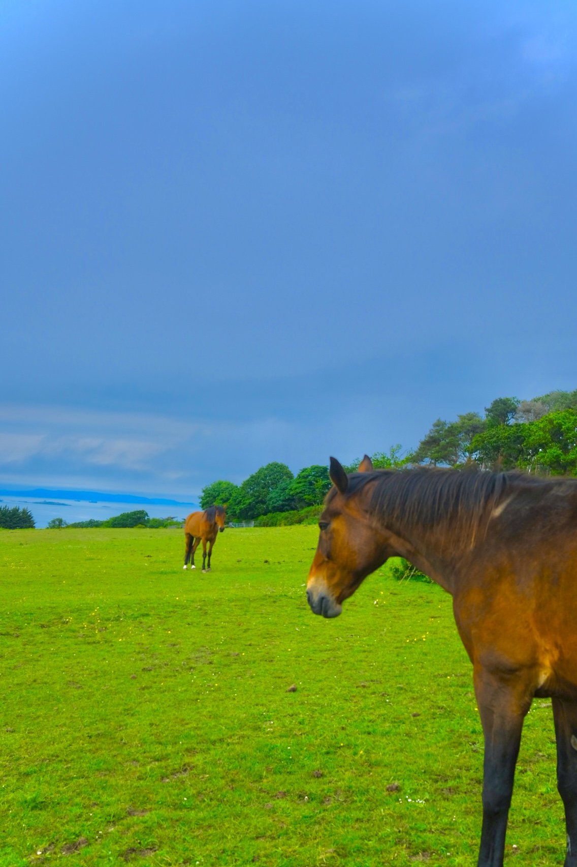 DSCF8848.jpg