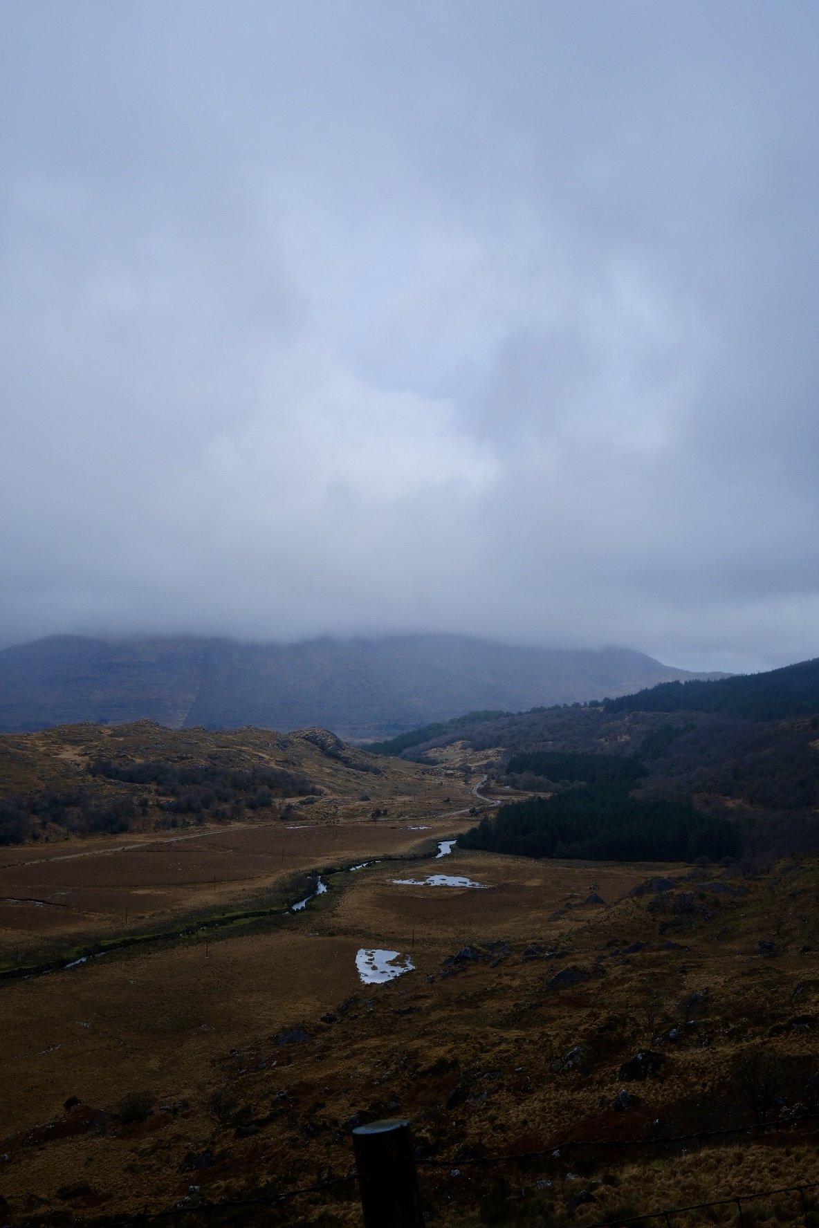DSCF7082.jpg