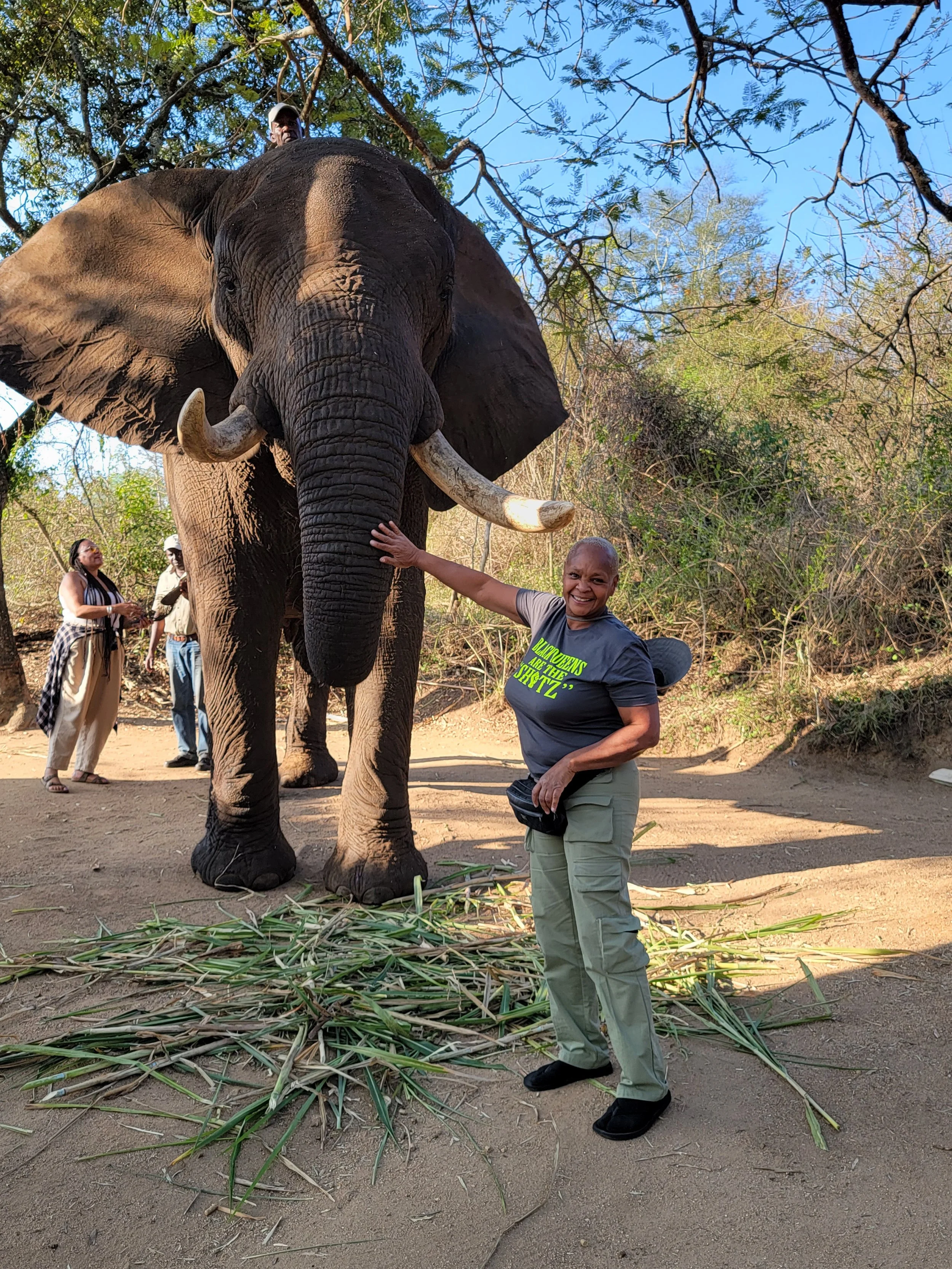 Africa Safari Excursion