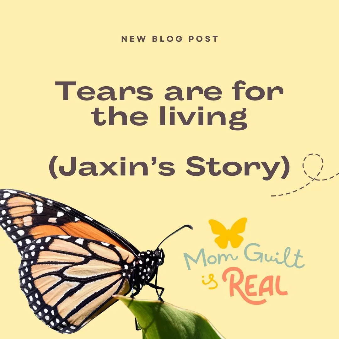 After a long 10 years, I FINALLY wrote down my story. If you can believe it, it&rsquo;s the Reader&rsquo;s Digest version. 

Read it at Momguiltisreal.com