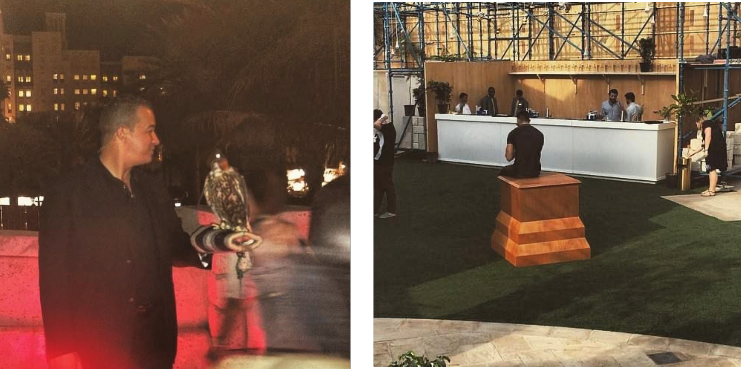 Interventions at Art dubai, 2015.png