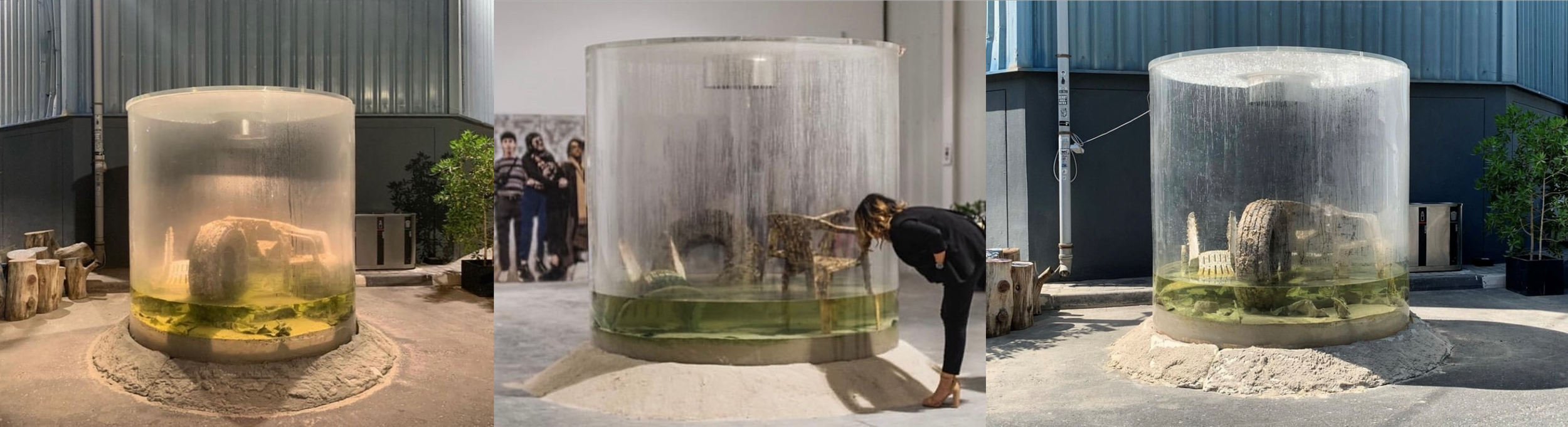 Nature Nurture, 2017-.png