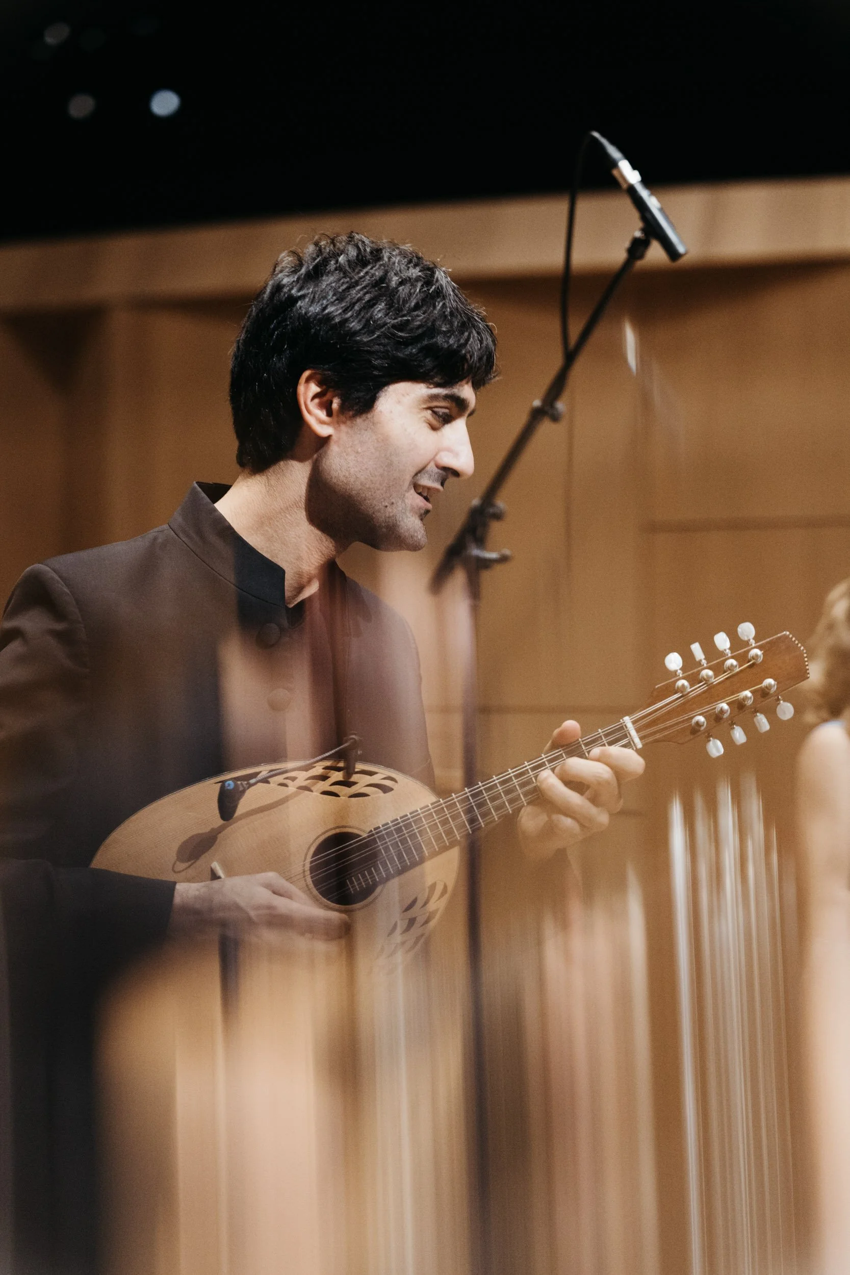 Lute player in concert - with special effects enhancing dynamic movement.