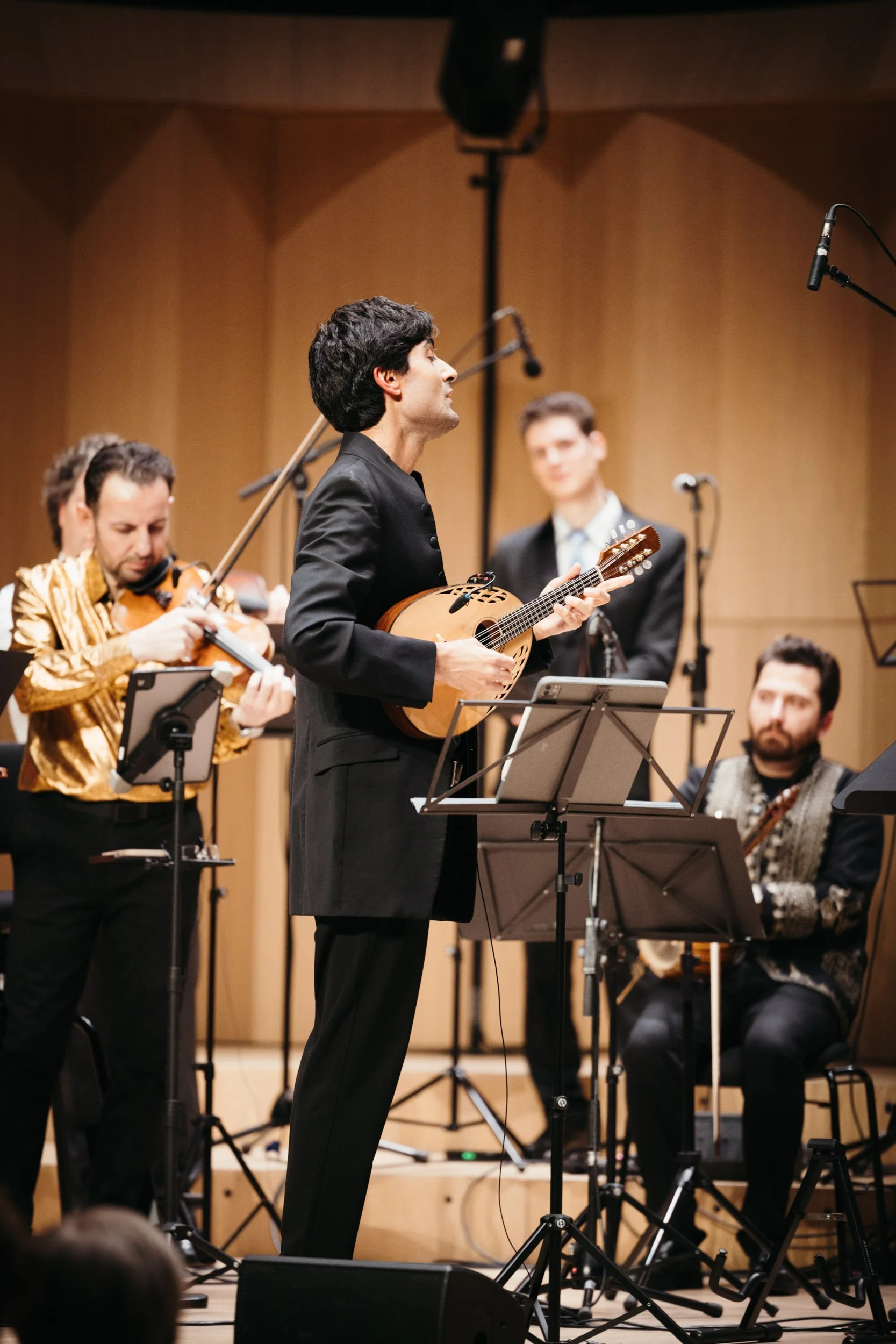 A lute player in concert - photography for orchestras and ensembles.