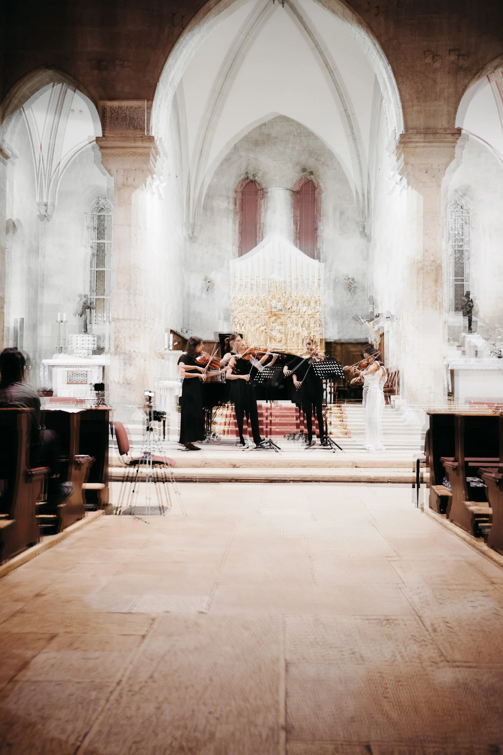 Creative concert photography for music festivals and masterclasses.