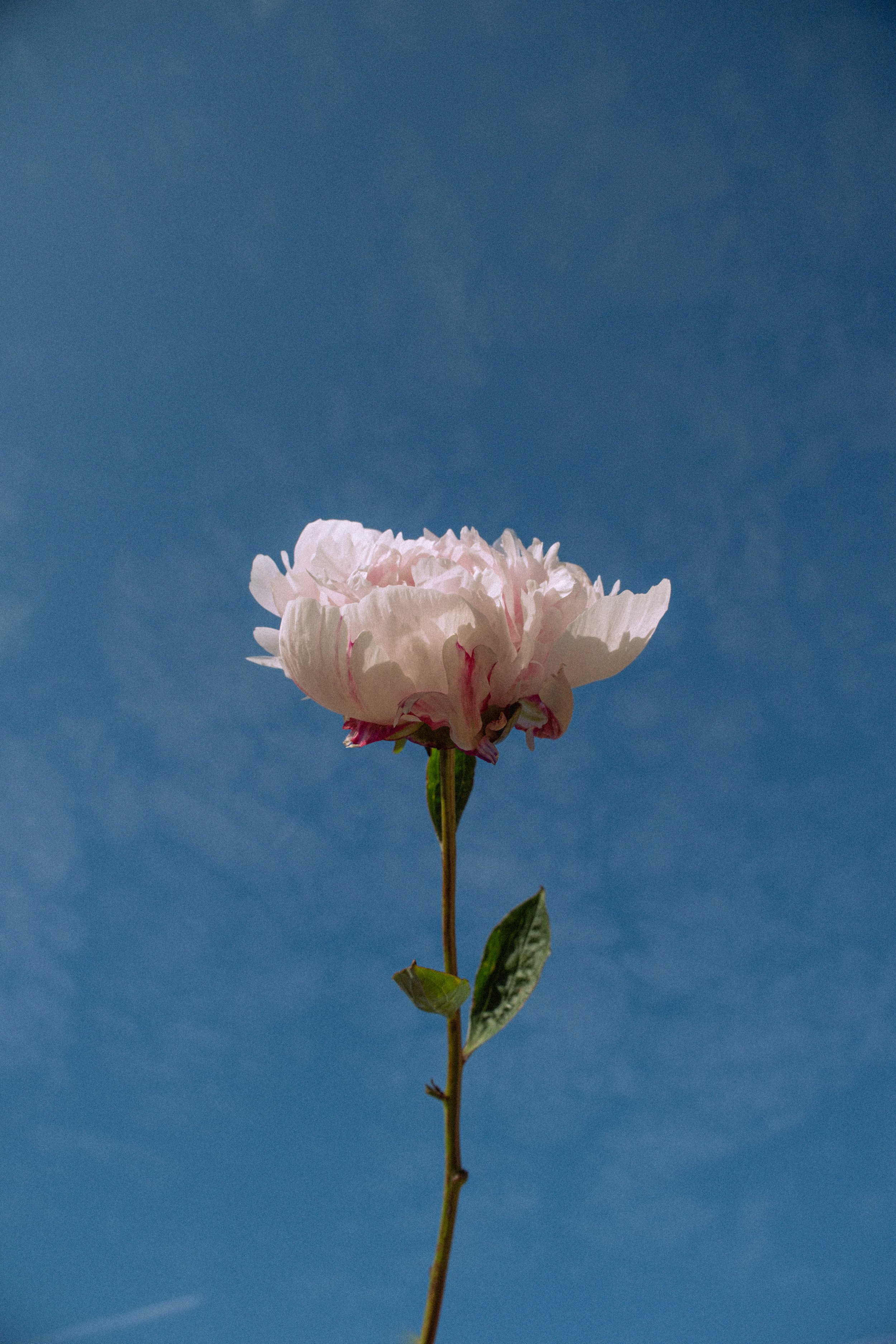 DSCF5534.jpg